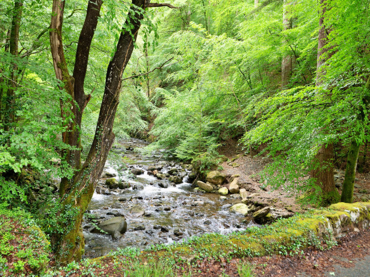 Photo of Hermon Bach
