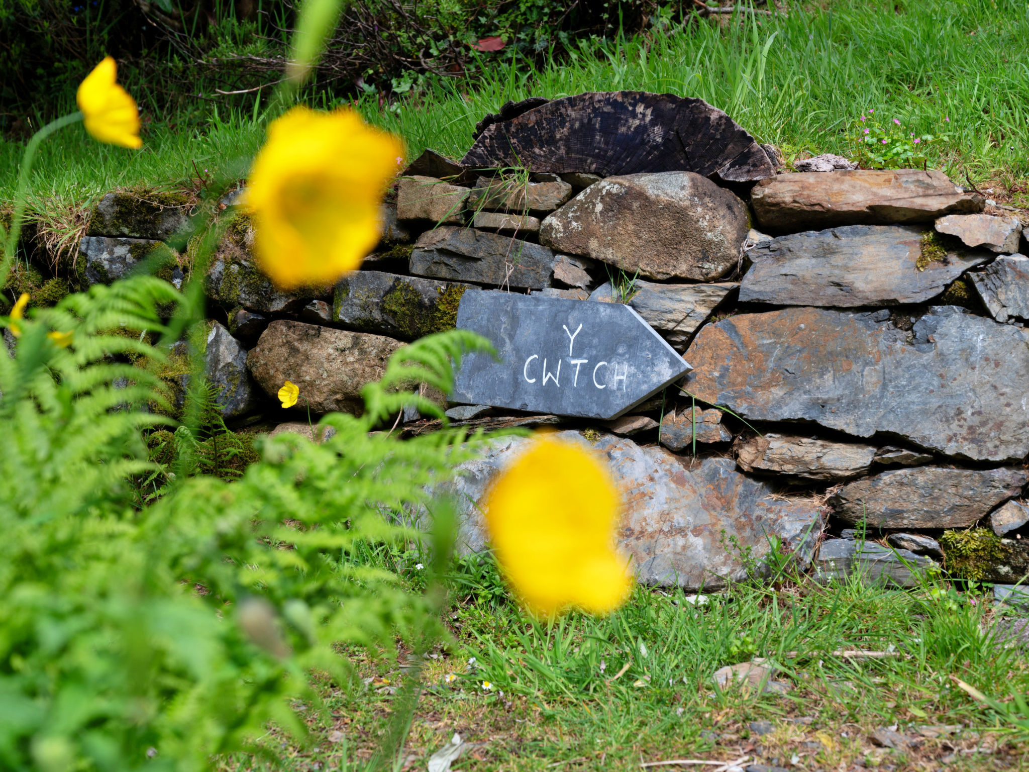 Photo of Y Cwtch