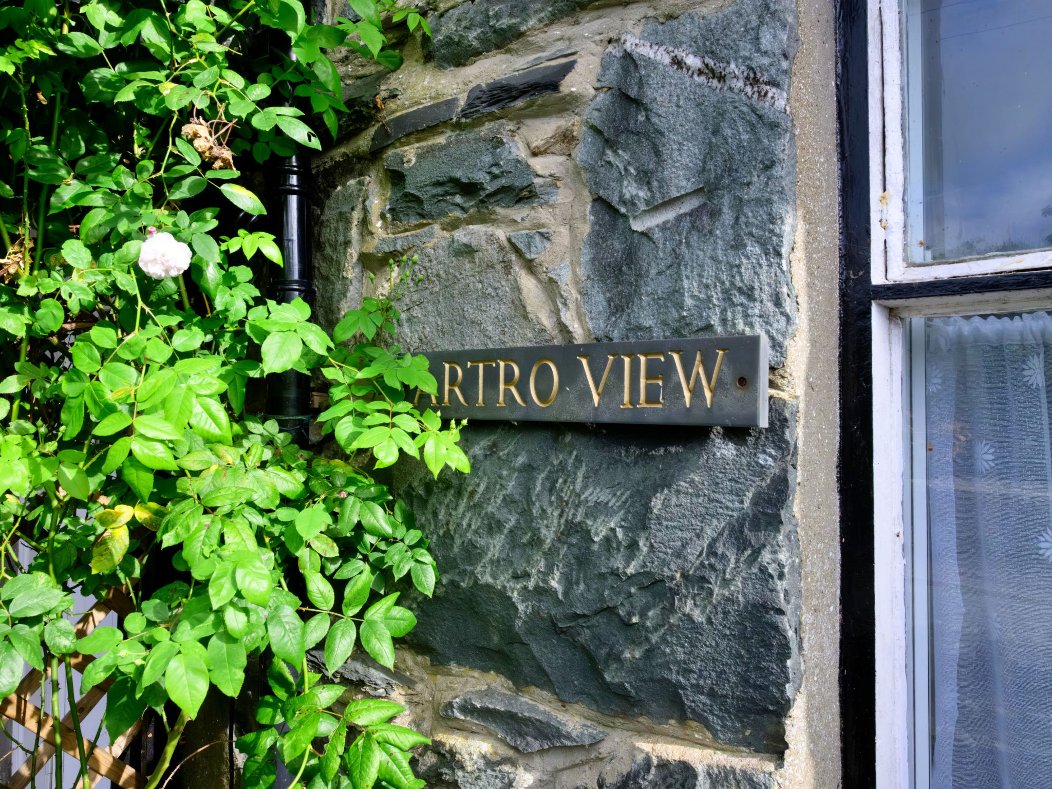 Artro View - Dehors