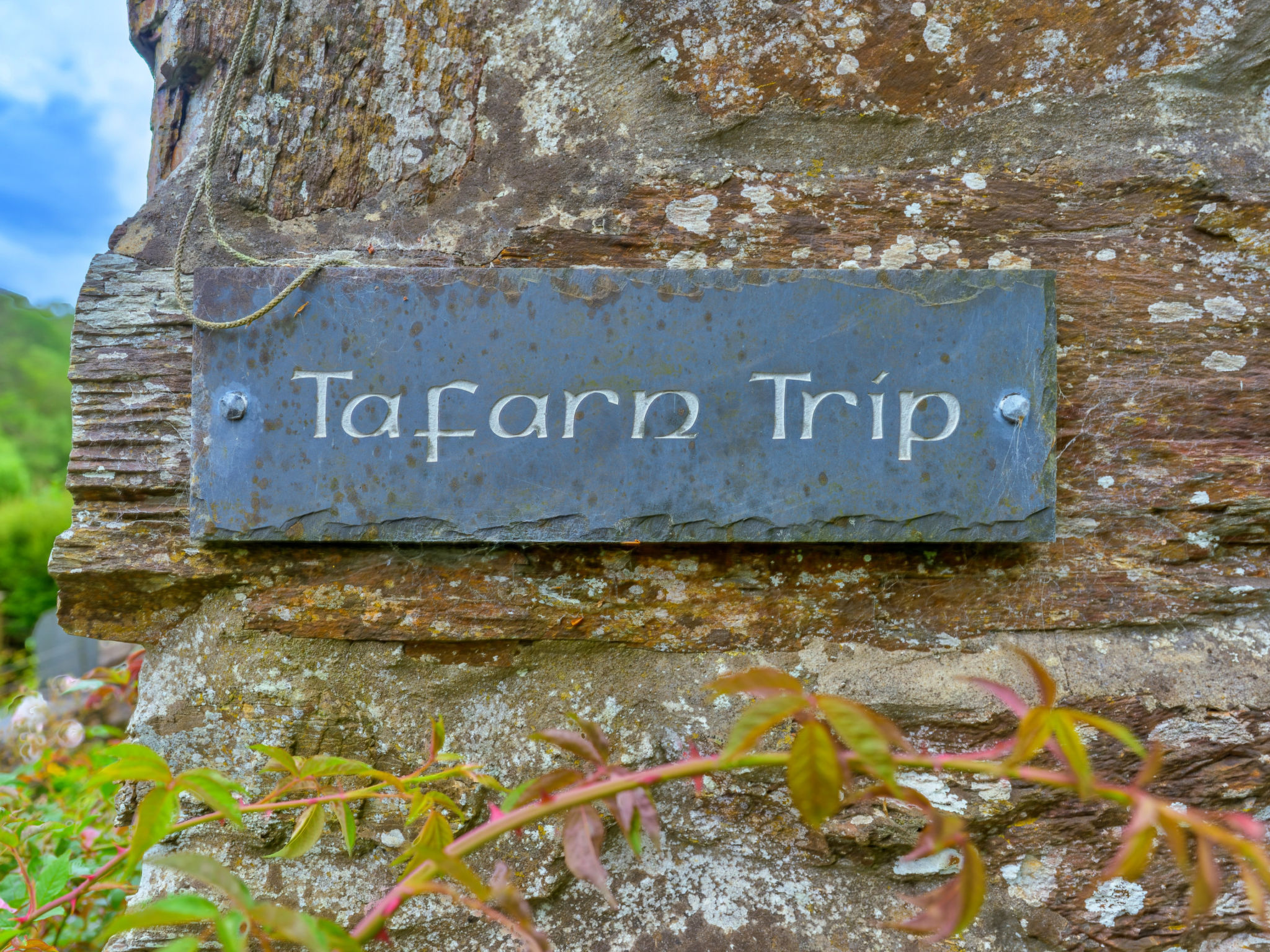 Tafarn Trip - Dehors
