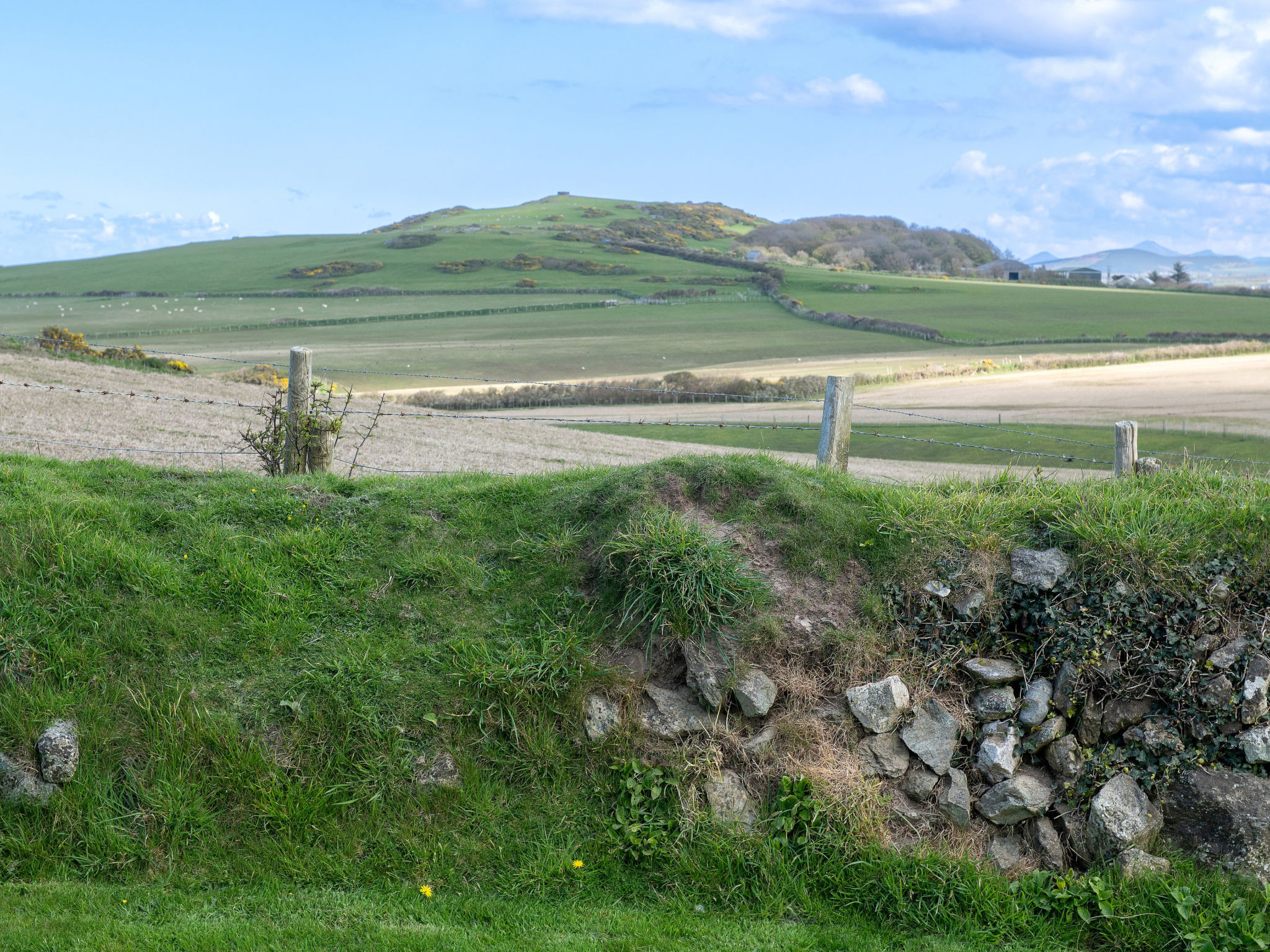 Bryn Du-Buiten