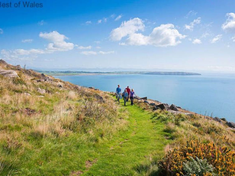 Photo of Glandoris