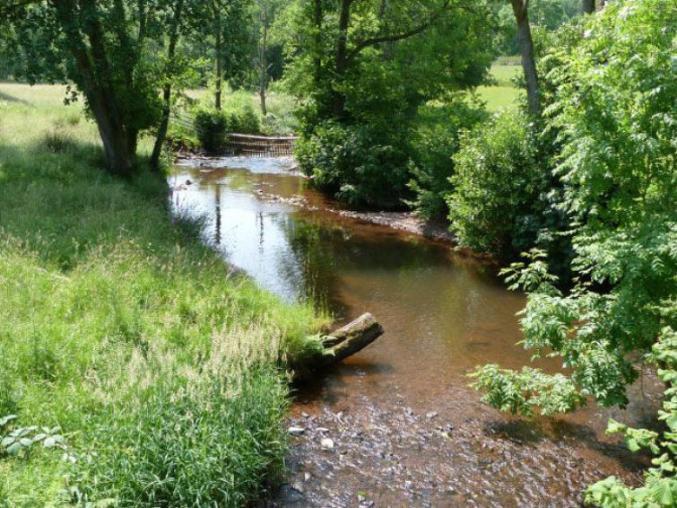 Photo of Eithrin Fach