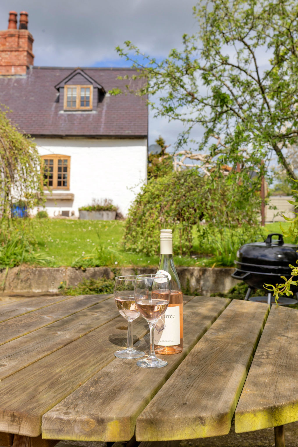 Waen Farm Cottage - Buiten