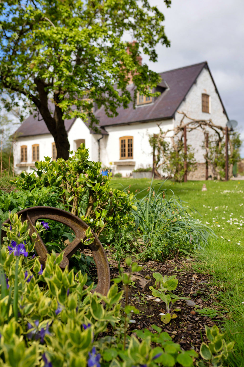Waen Farm Cottage - Buiten
