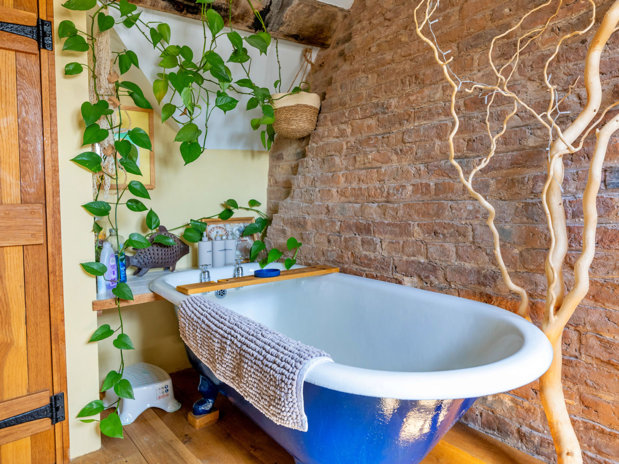 Waen Farm Cottage - Binnen