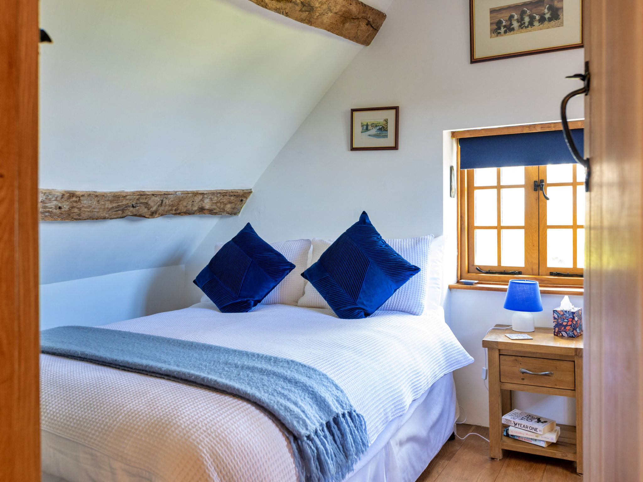 Waen Farm Cottage - Binnen