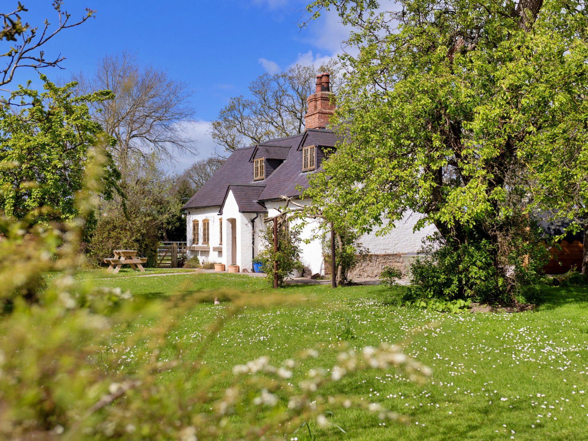 Waen Farm Cottage - Buiten
