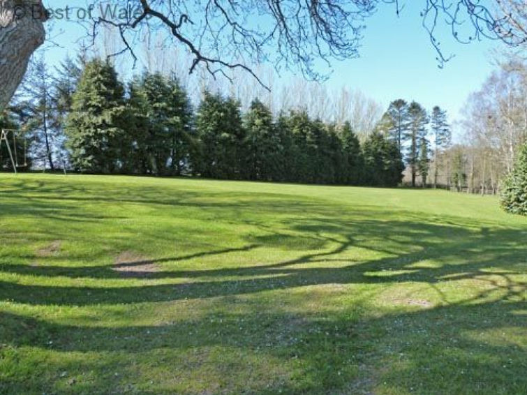 Photo of Ty Cart