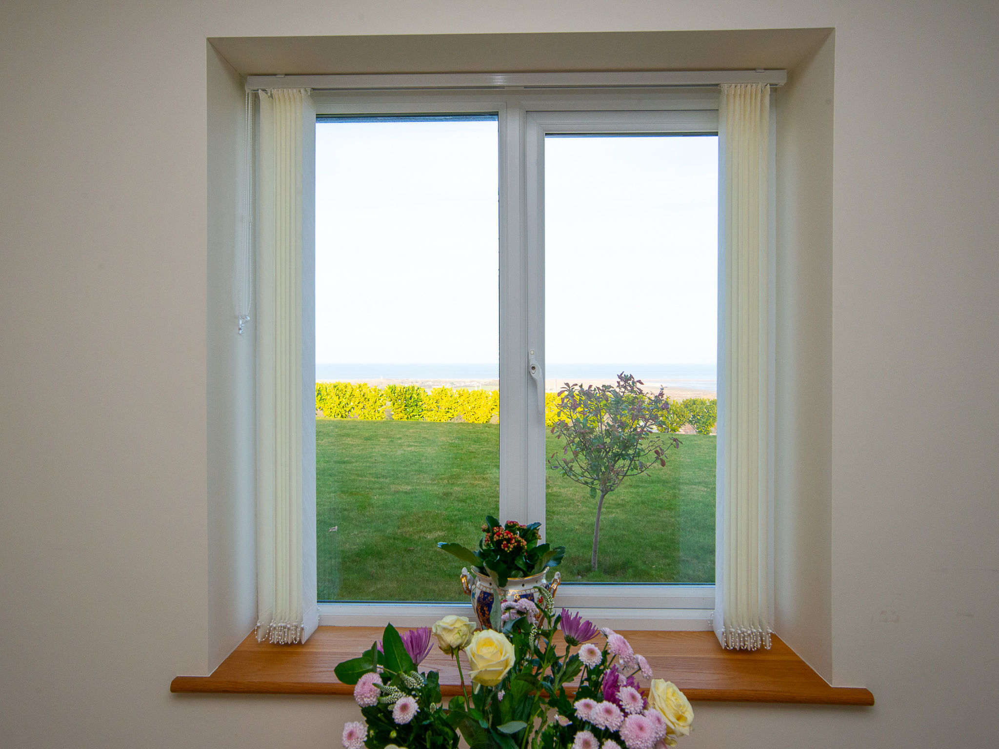 Picton Lodge - Sea Views-Draußen