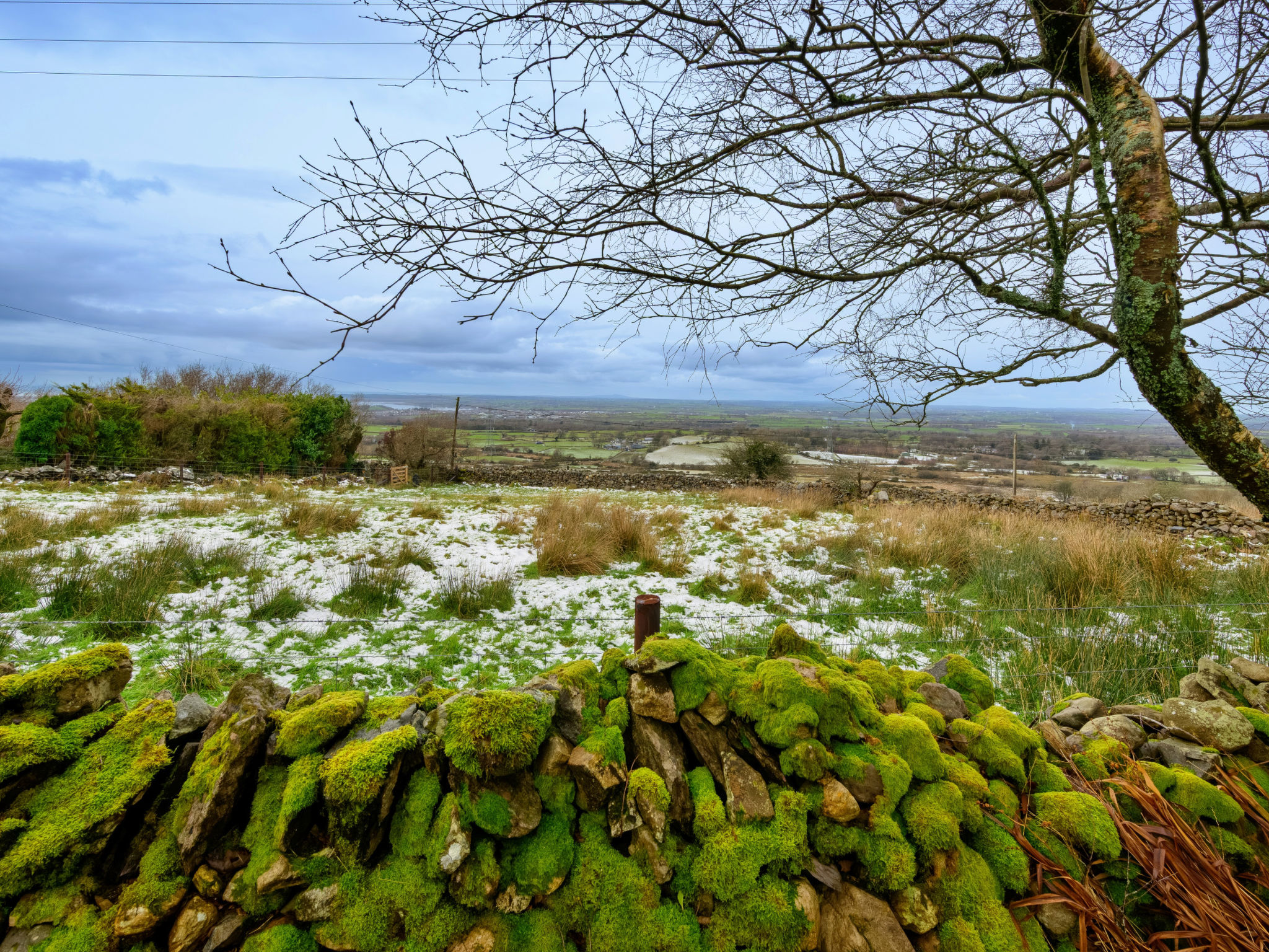 Merddyn Cottage - Dehors