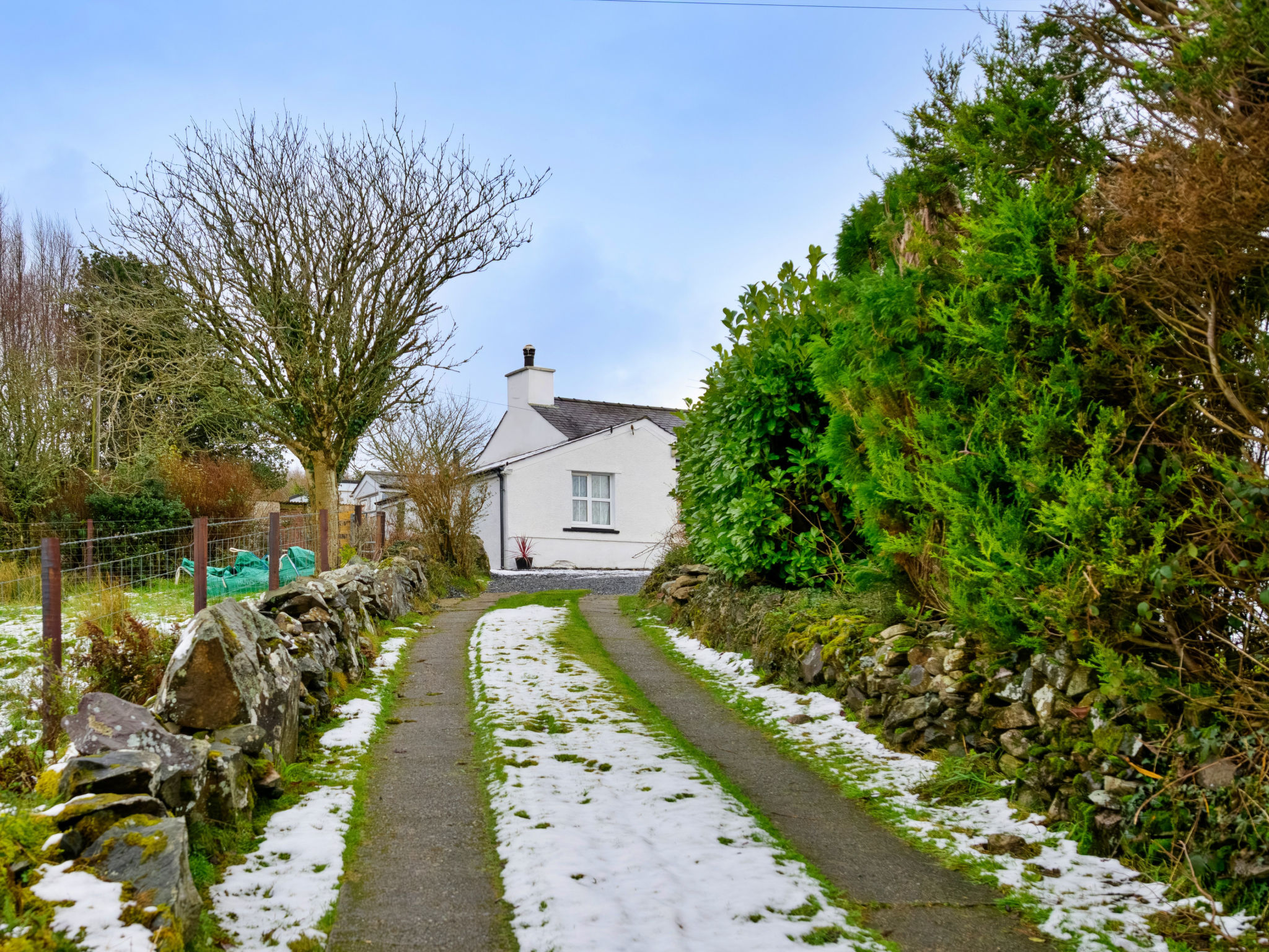 Merddyn Cottage - Dehors