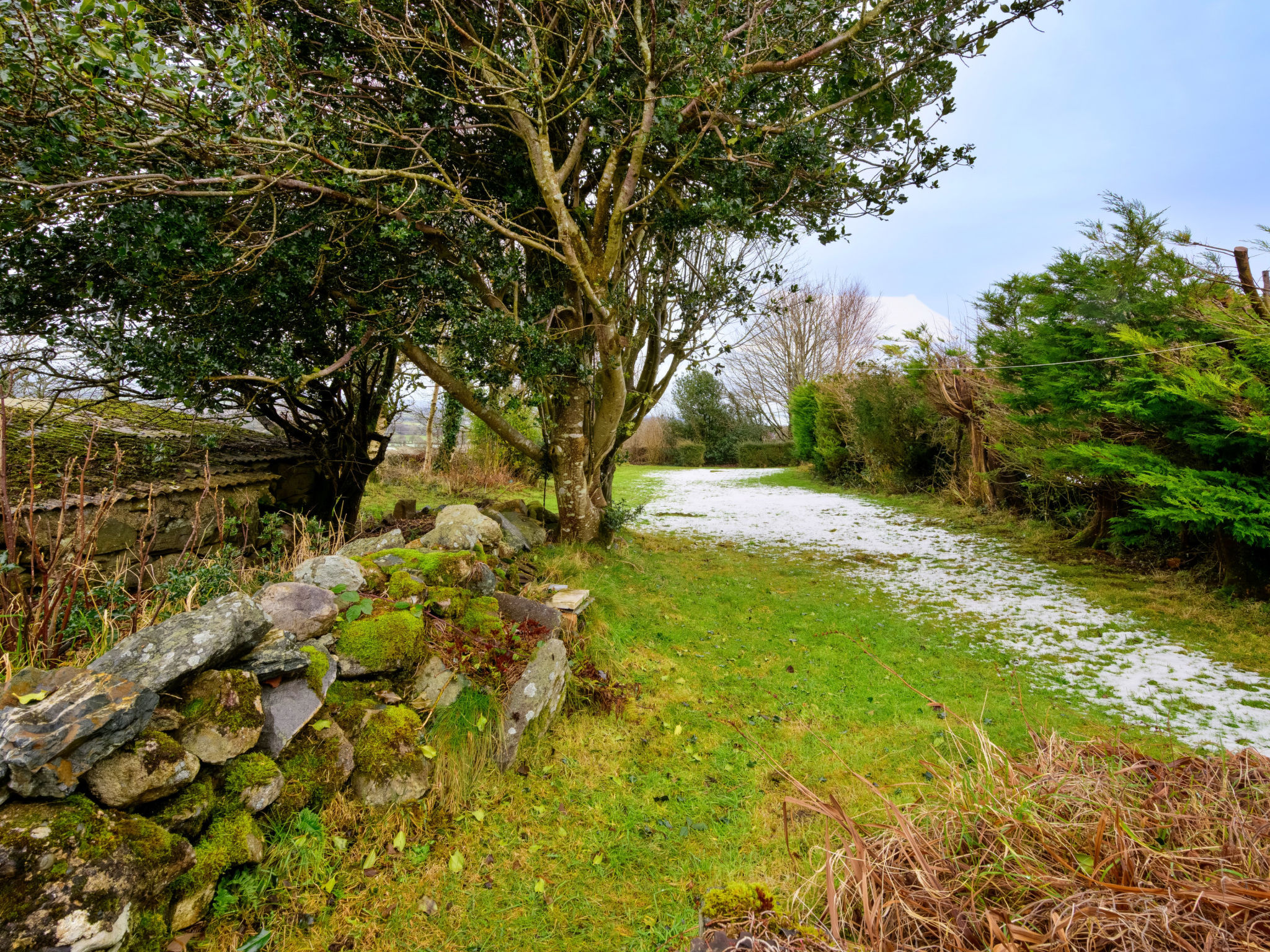 Merddyn Cottage - Dehors