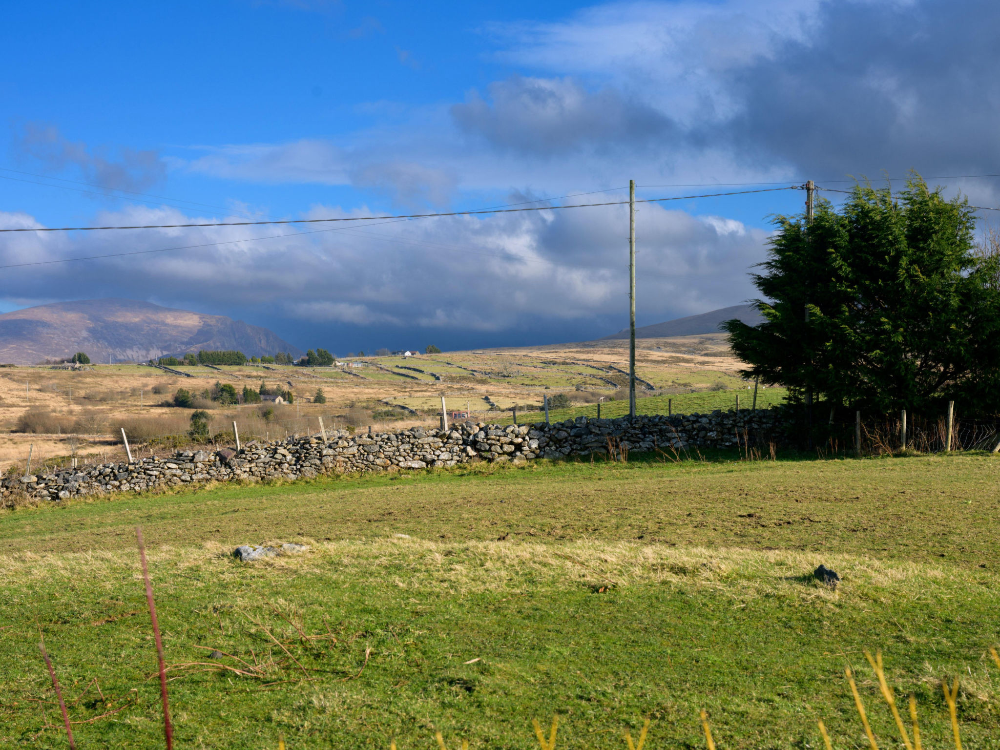 Hedd Wen Cottage - Dehors