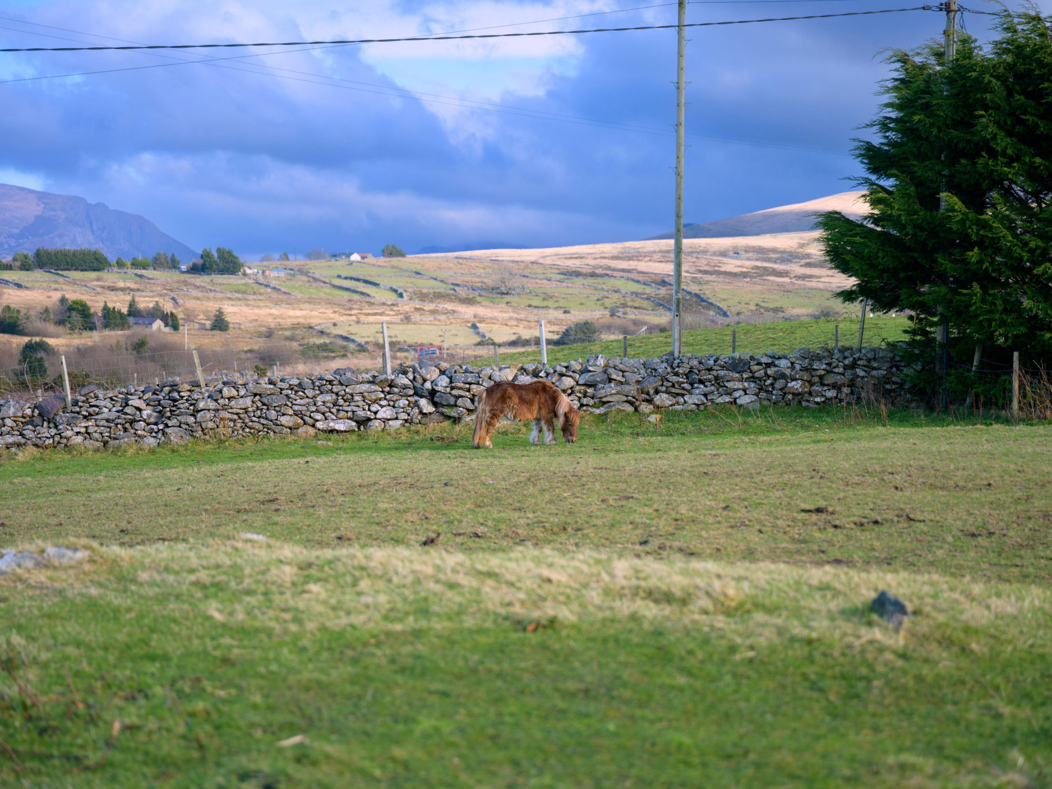 Hedd Wen Cottage - Dehors