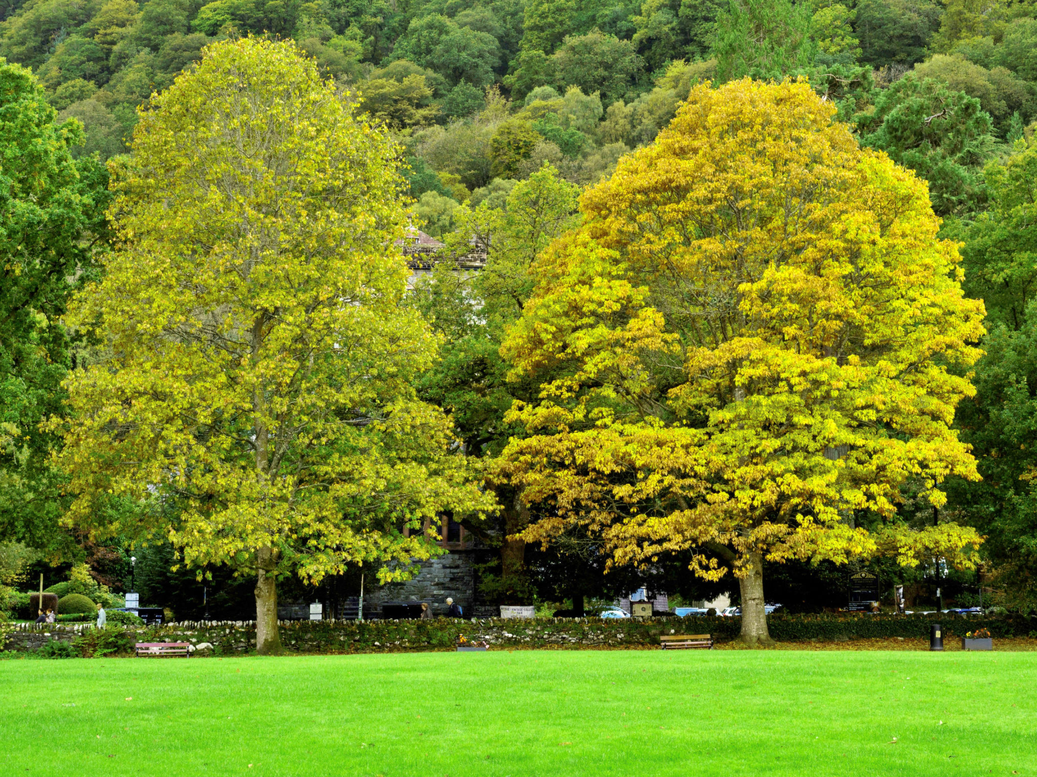 Dyffryn