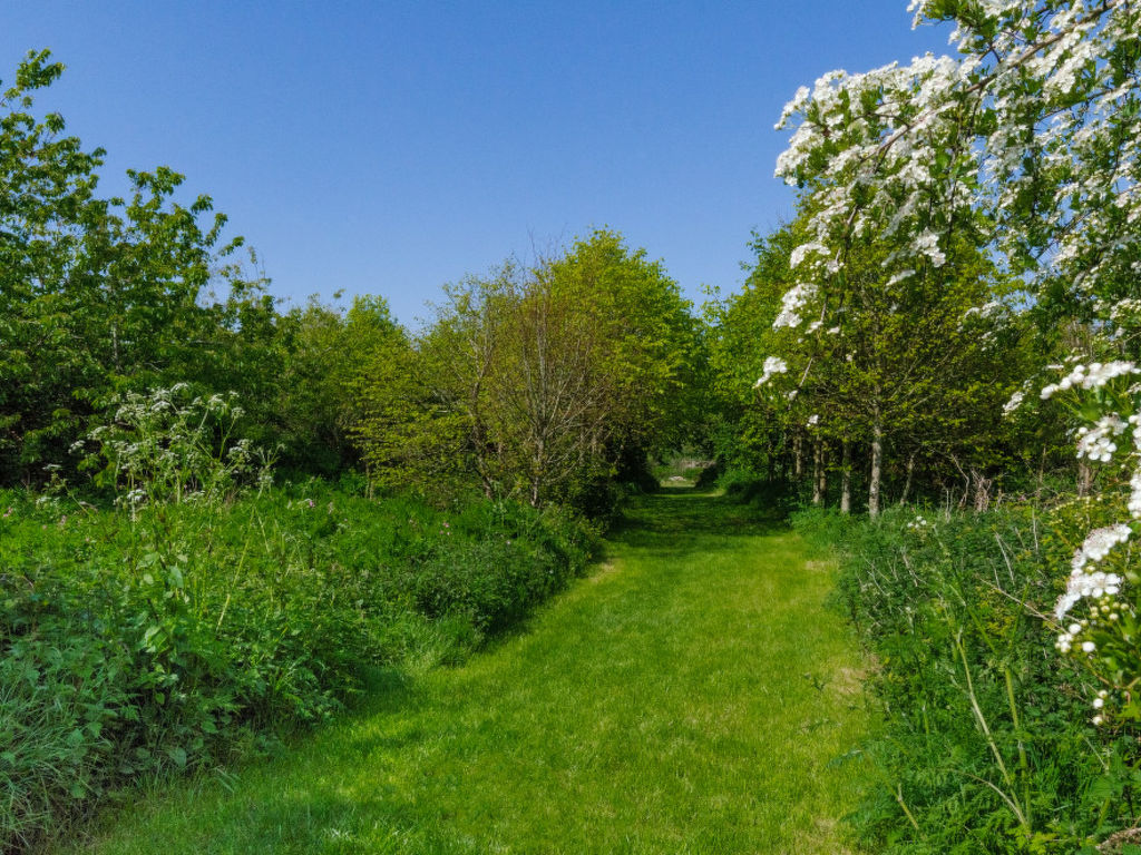 Bild 12
