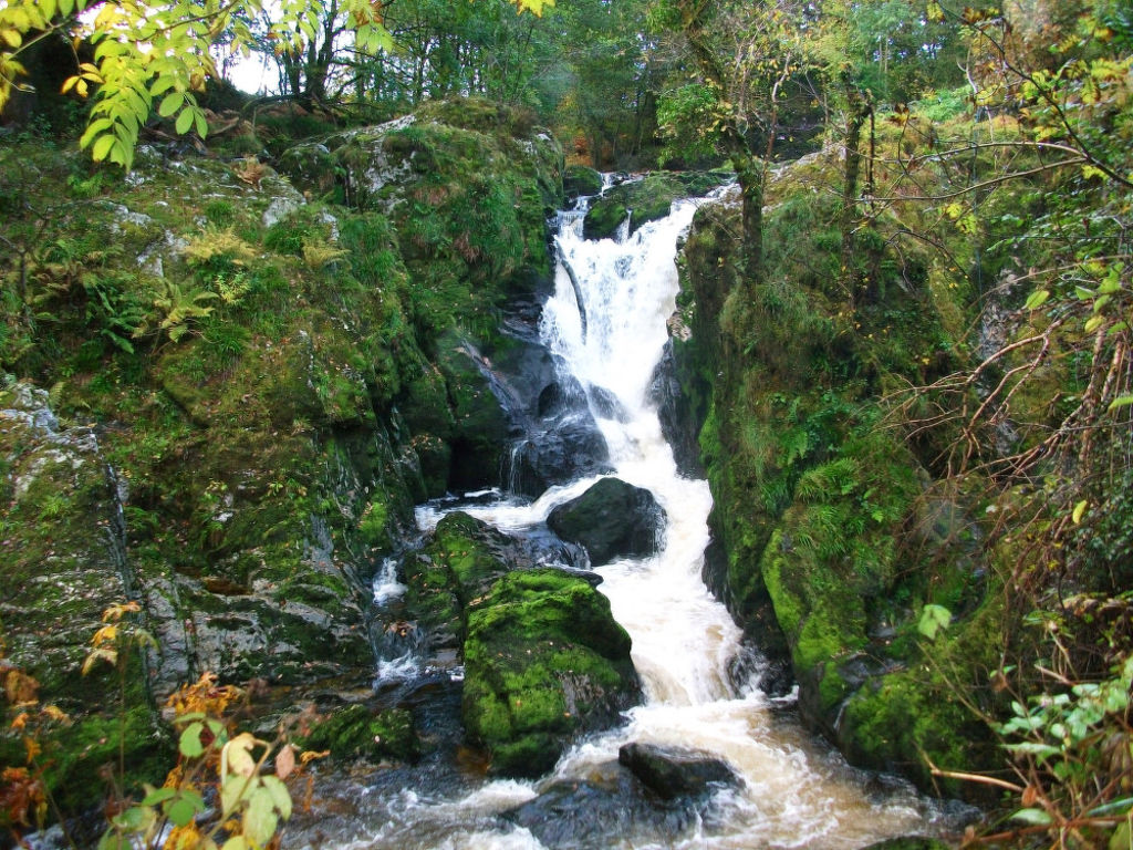 Bild 81