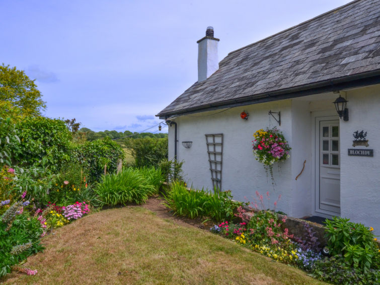 Photo of Caernarfon View Cottage