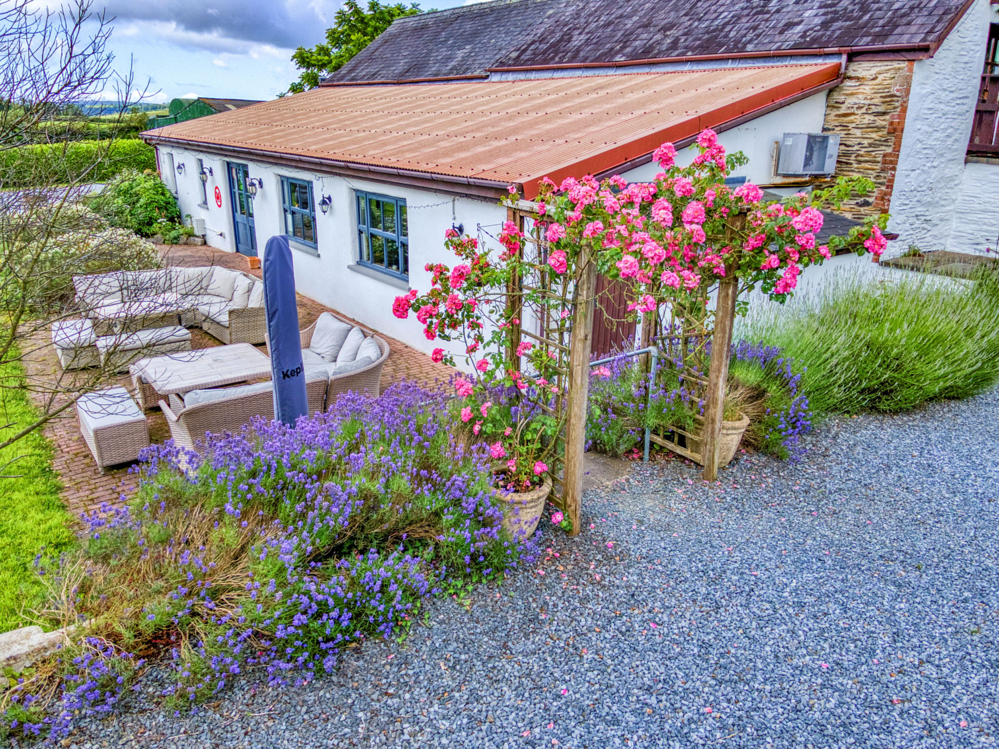 Jabajak Vineyard - Outside