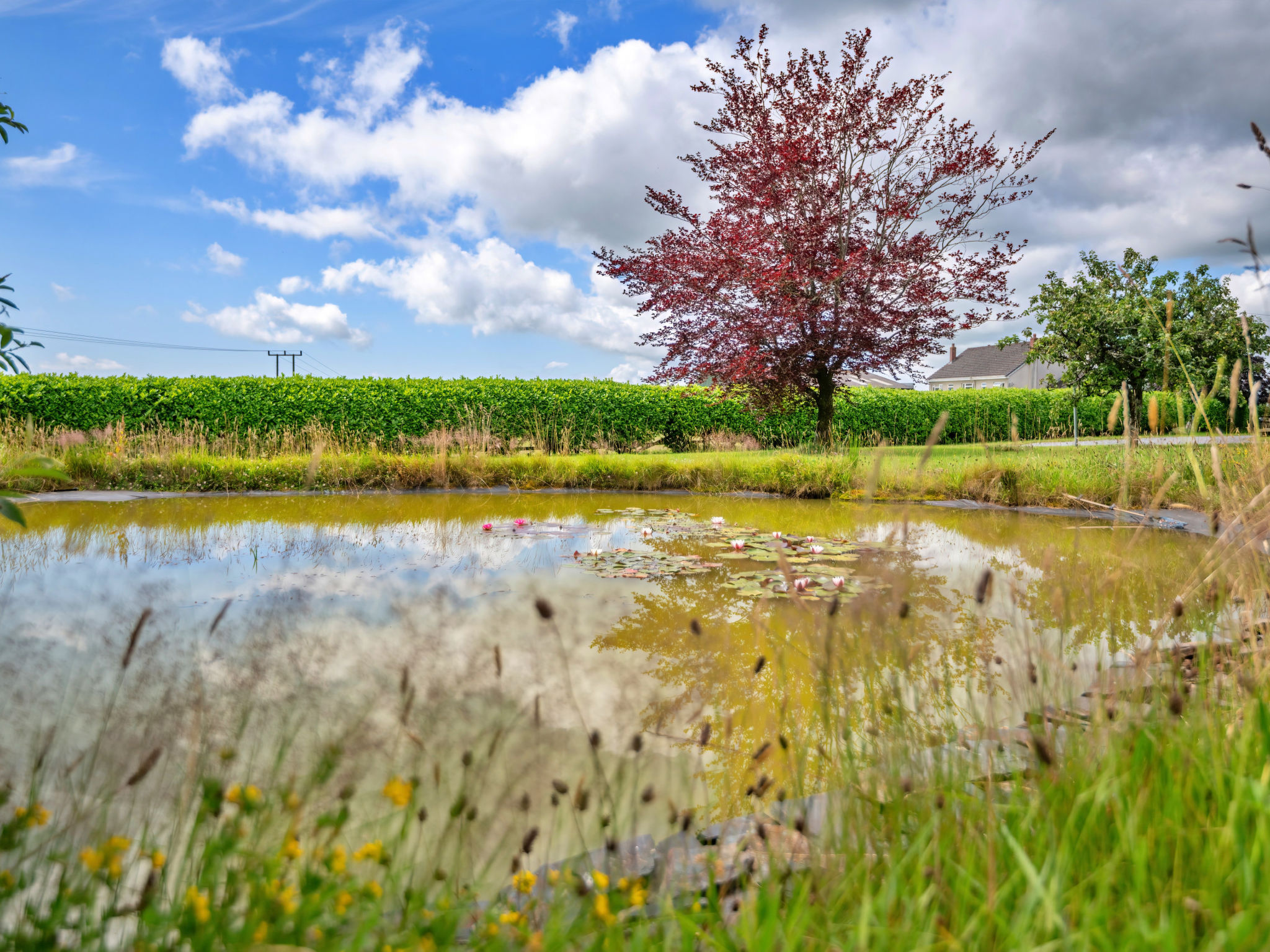 Jabajak Vineyard - Outside