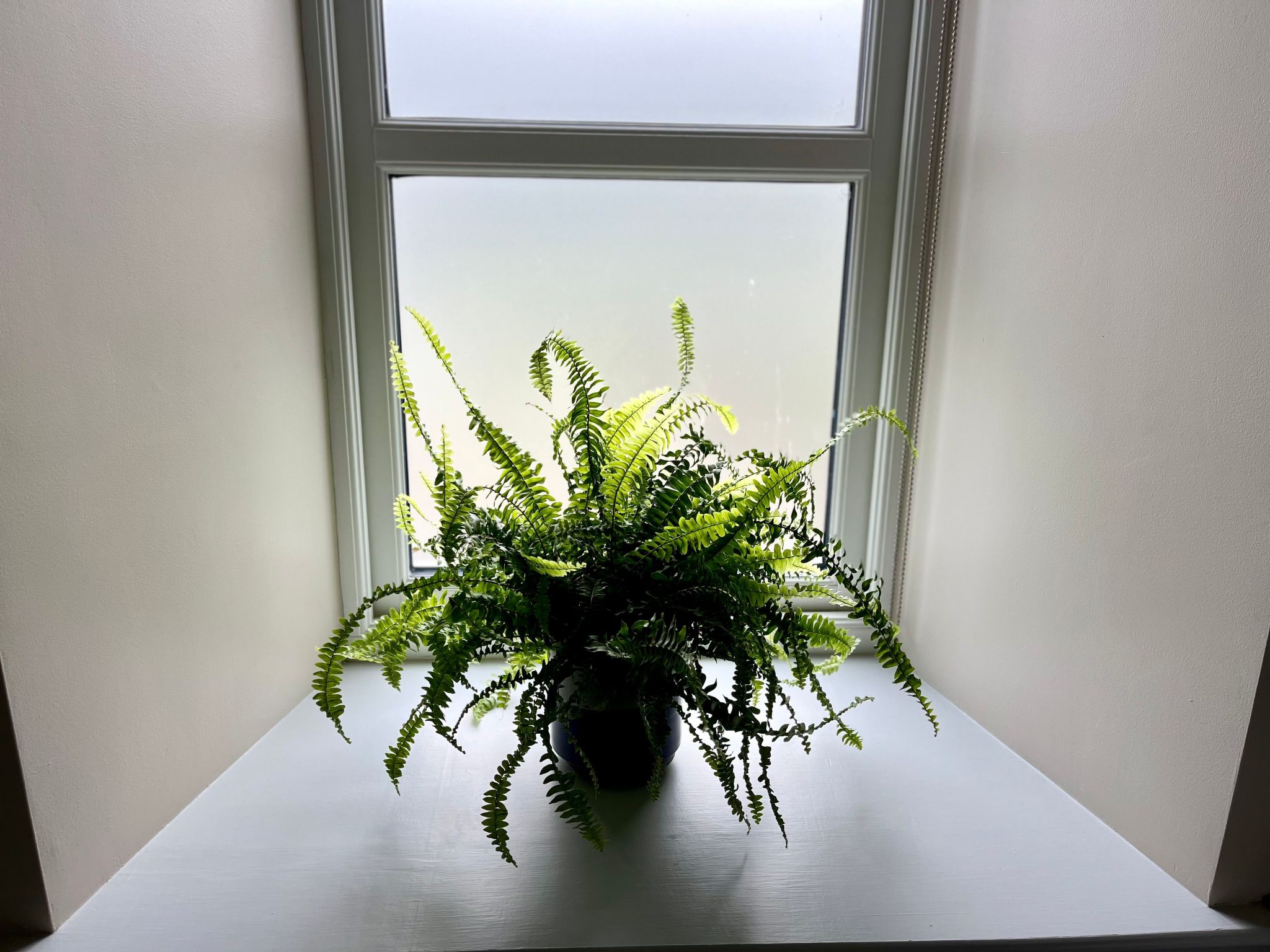 Apfel-Häuschen-Binnen