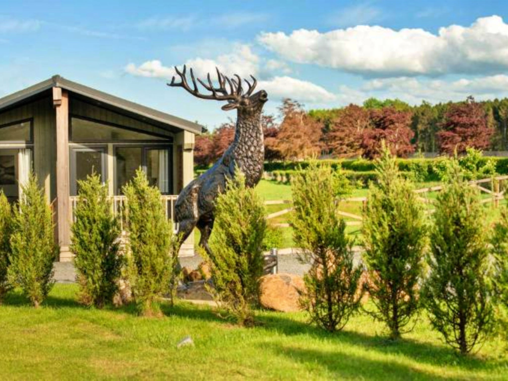 Silverwood Executive Chalet - Dehors