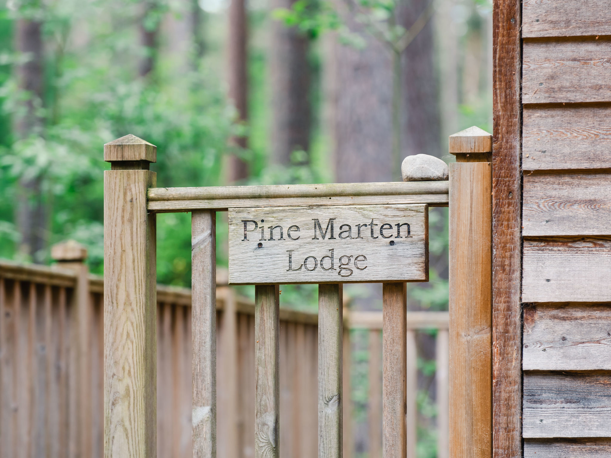 Pine Marten Lodge - Outside