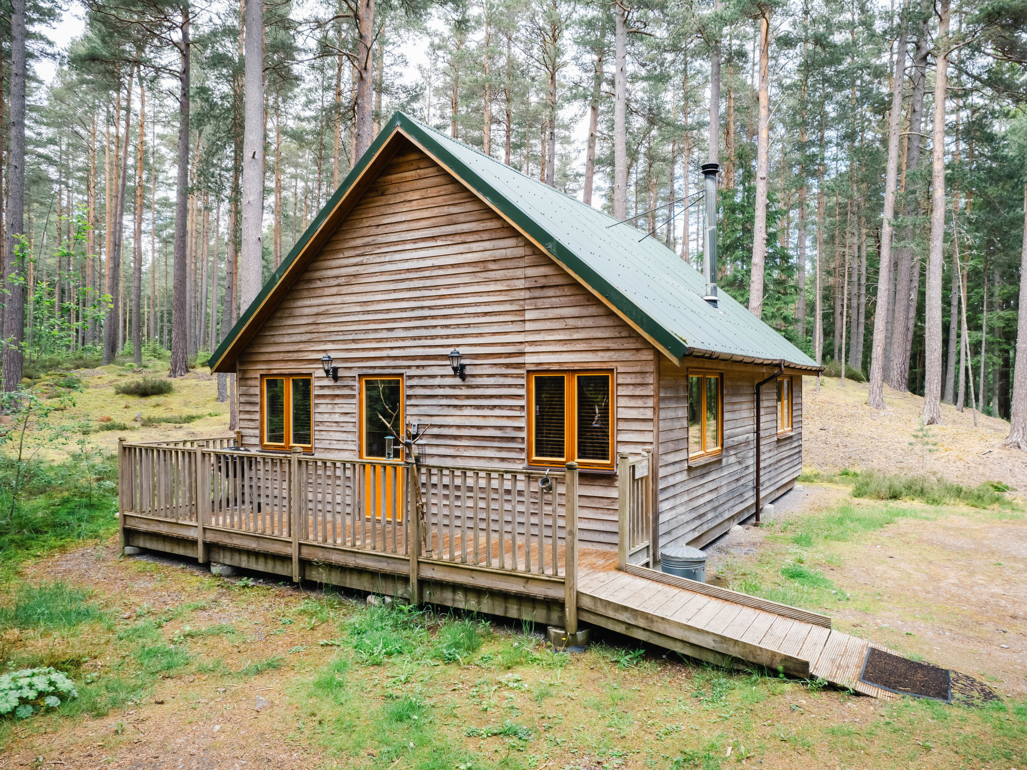 Pine Marten Lodge - Outside
