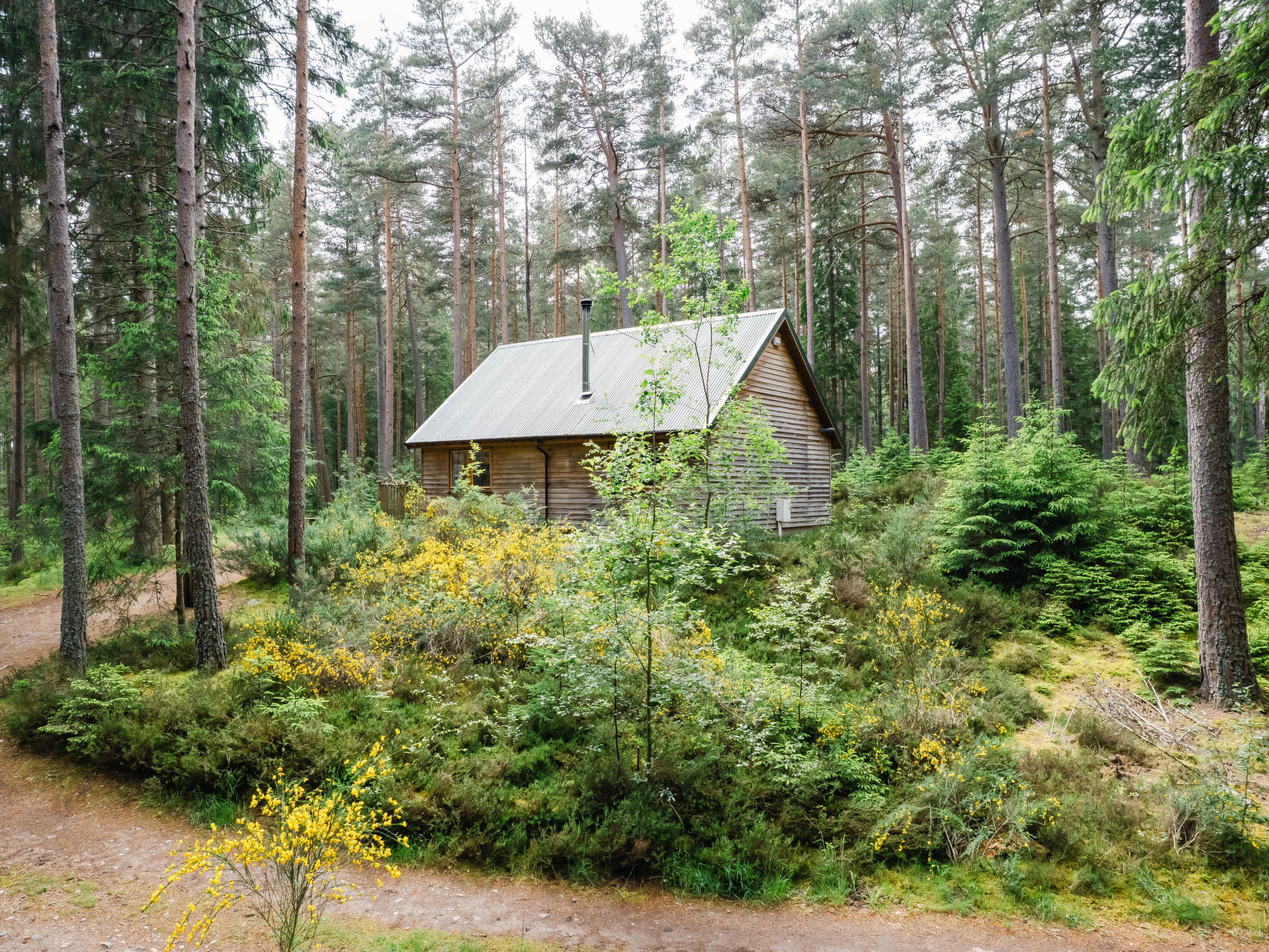 Red Squirrel Lodge - Outside