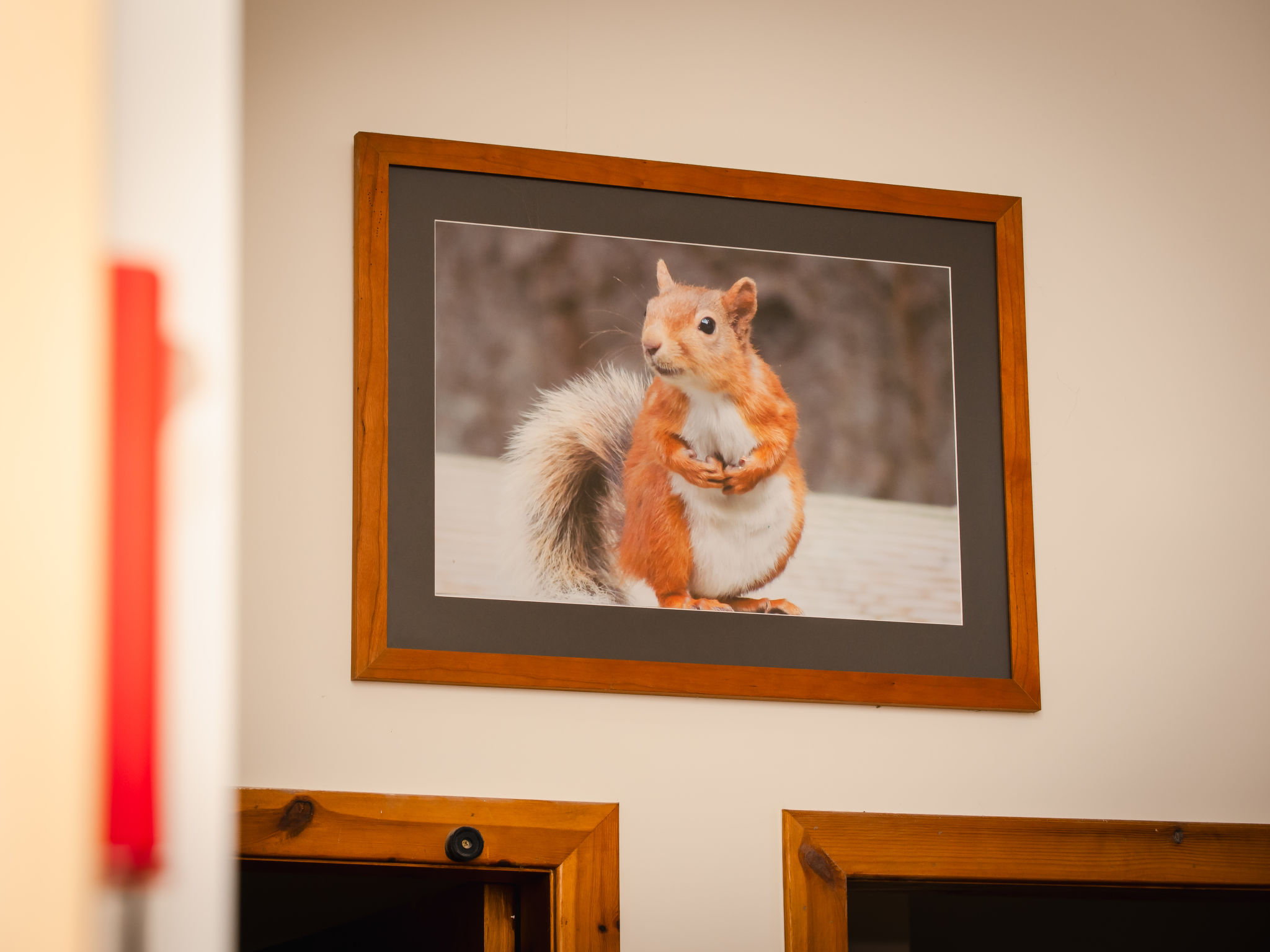 Red Squirrel Lodge - Inside