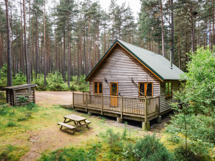Capercaillie Cabin - Scotland