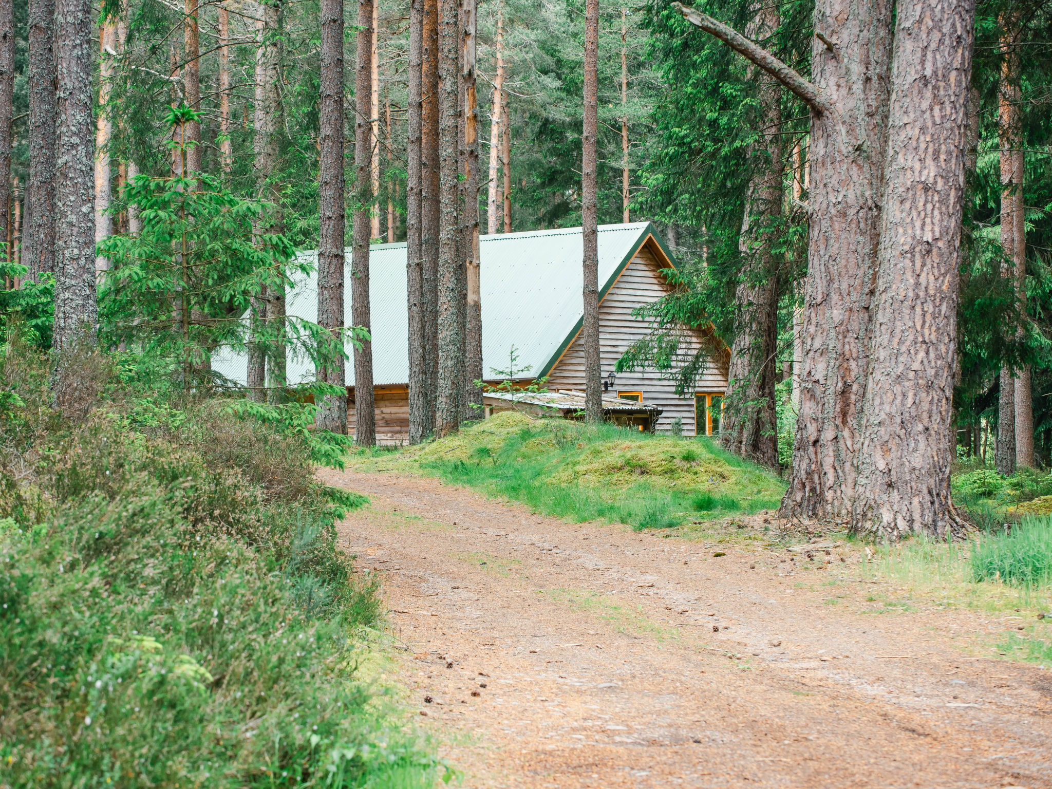 Capercaillie Cabin - Outside