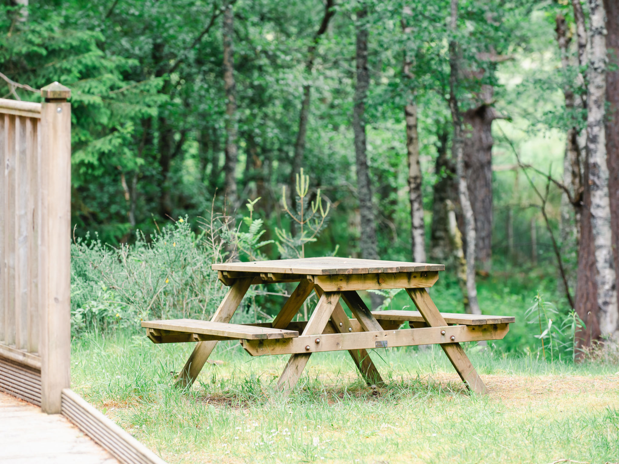 Capercaillie Cabin - Outside