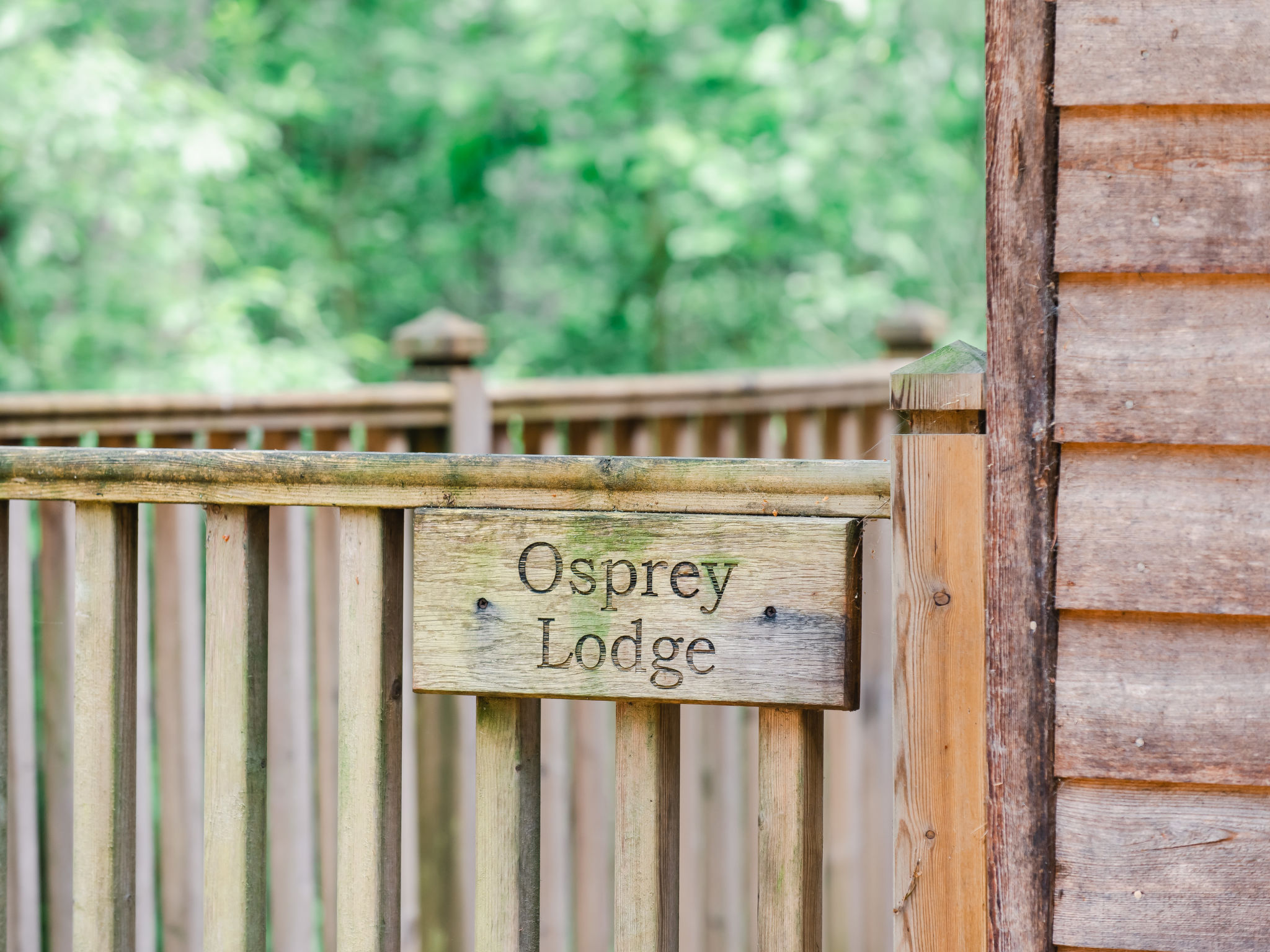 Osprey Lodge - Outside