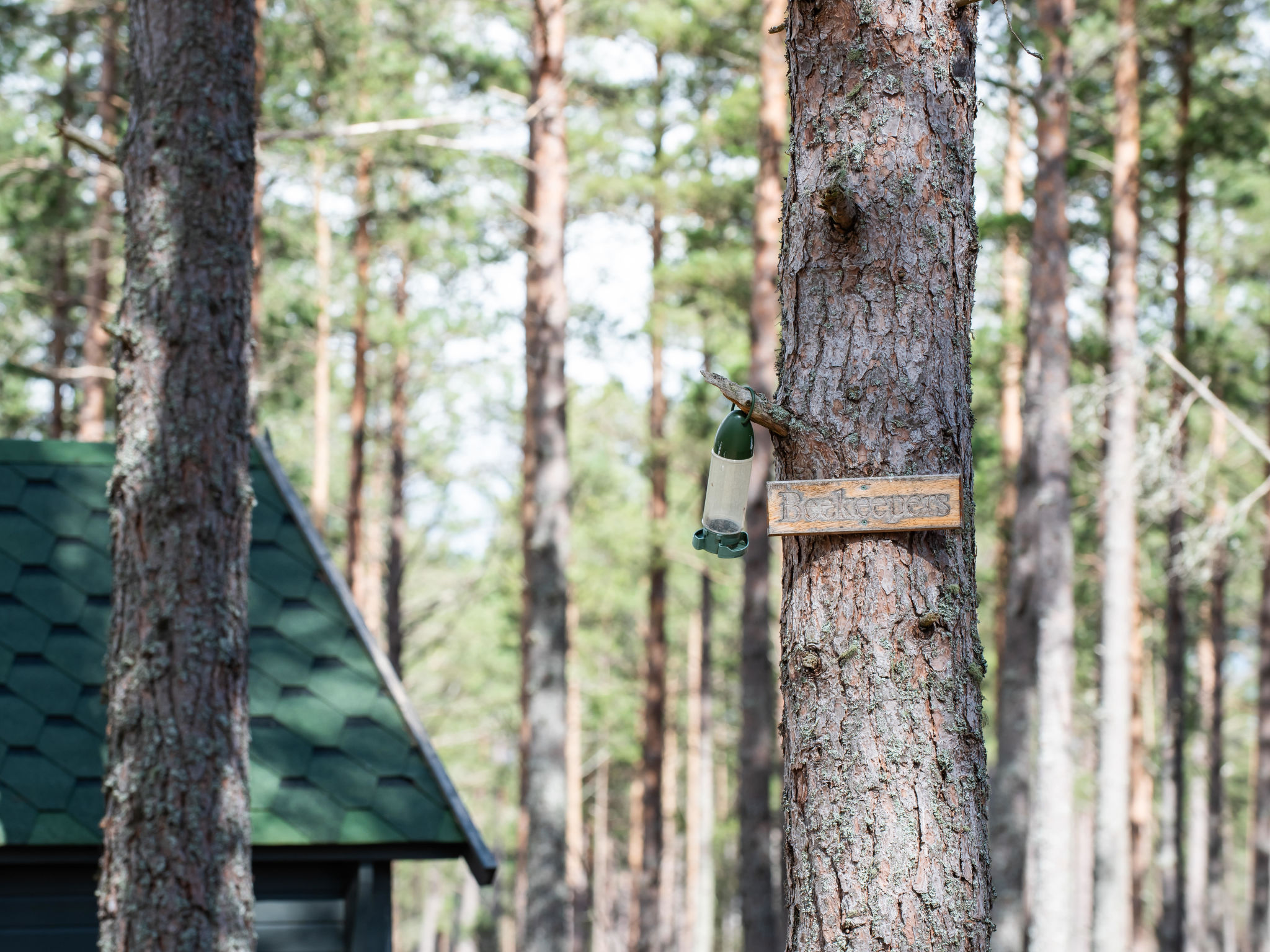 Beekeepers Bothy - Draußen