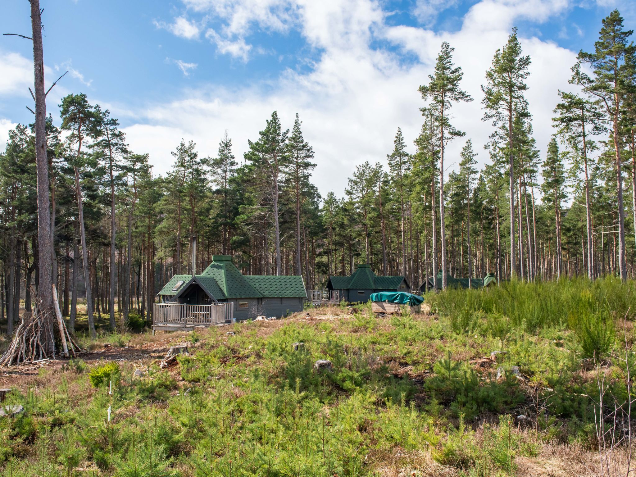 Forester’s Bothy - Draußen