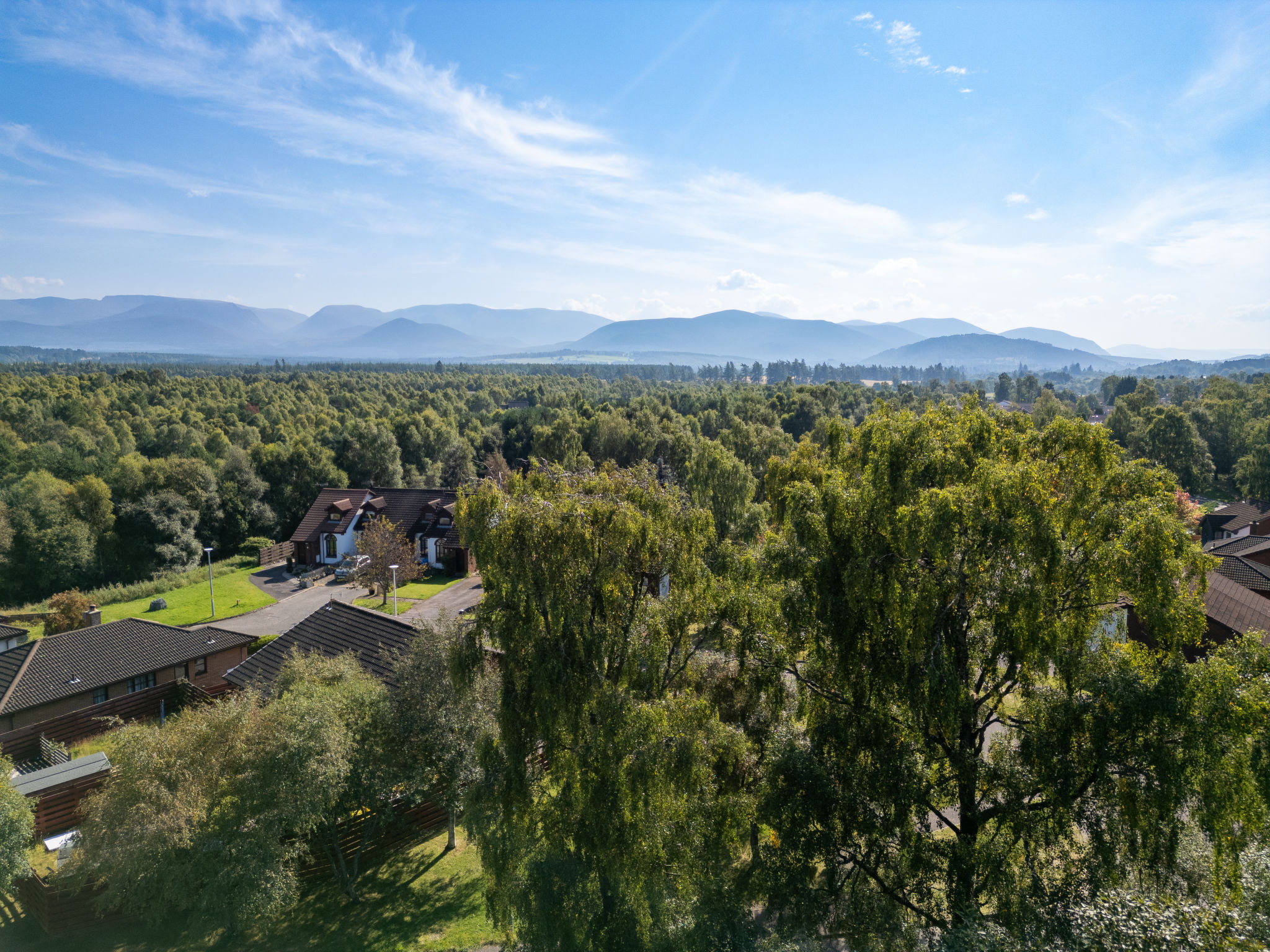 Photo of Glenfiddich