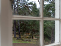 Knusse cottage voor 4 in de Cairngorms, vlakbij Aviemore - thumbnail 5
