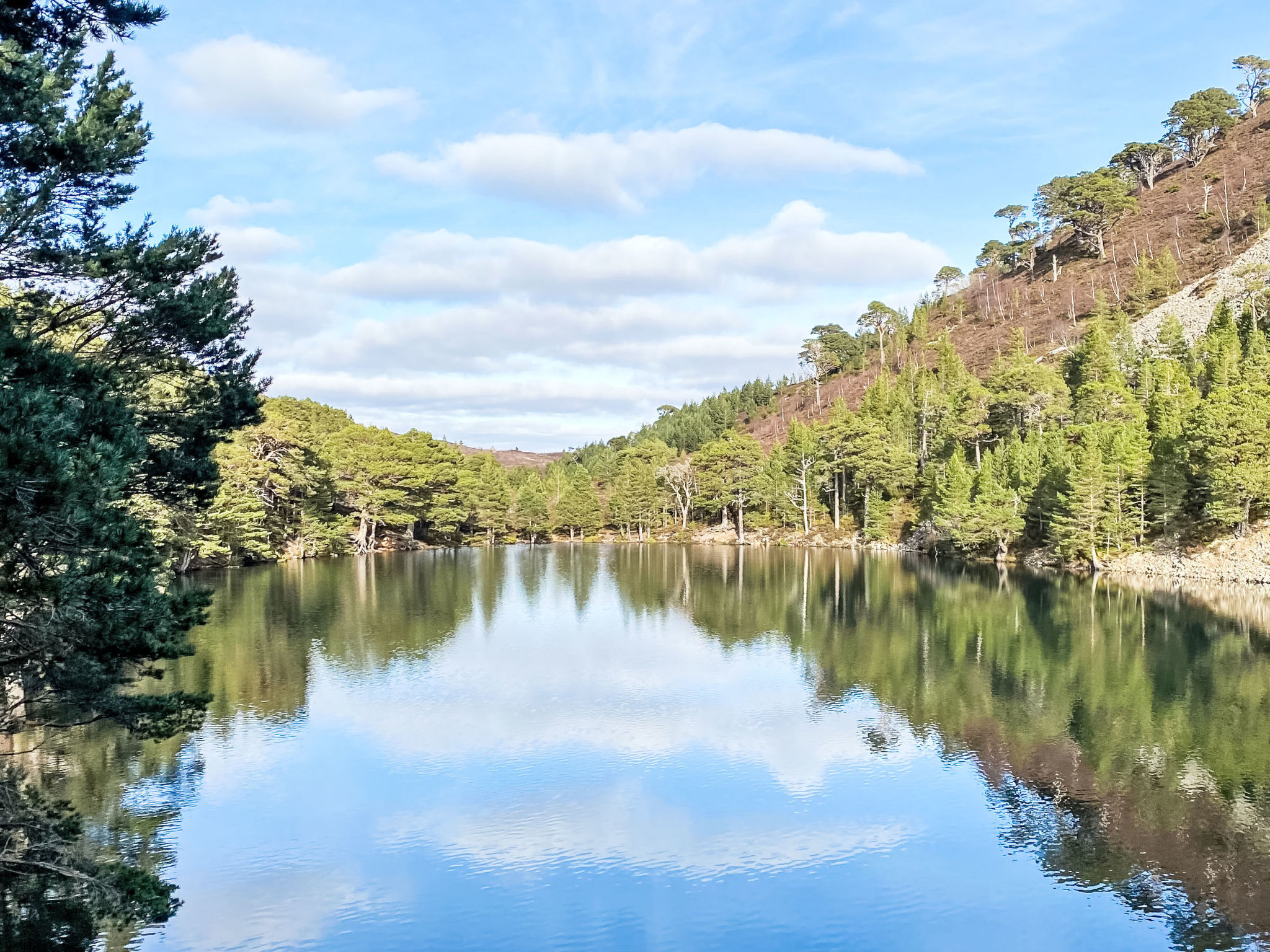 Photo of mit Garten im schottischen Hochland
