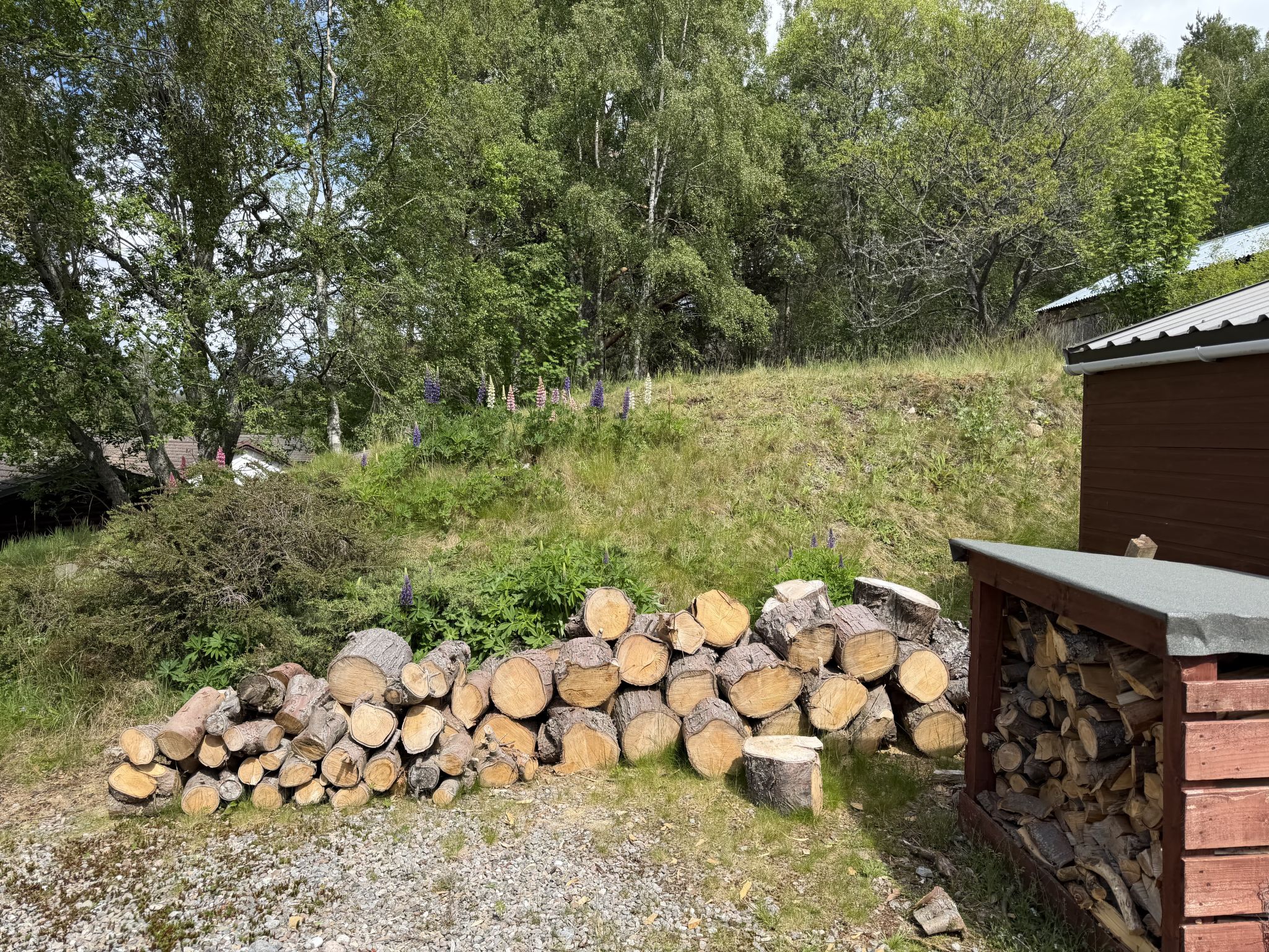 Glencarr - Buiten