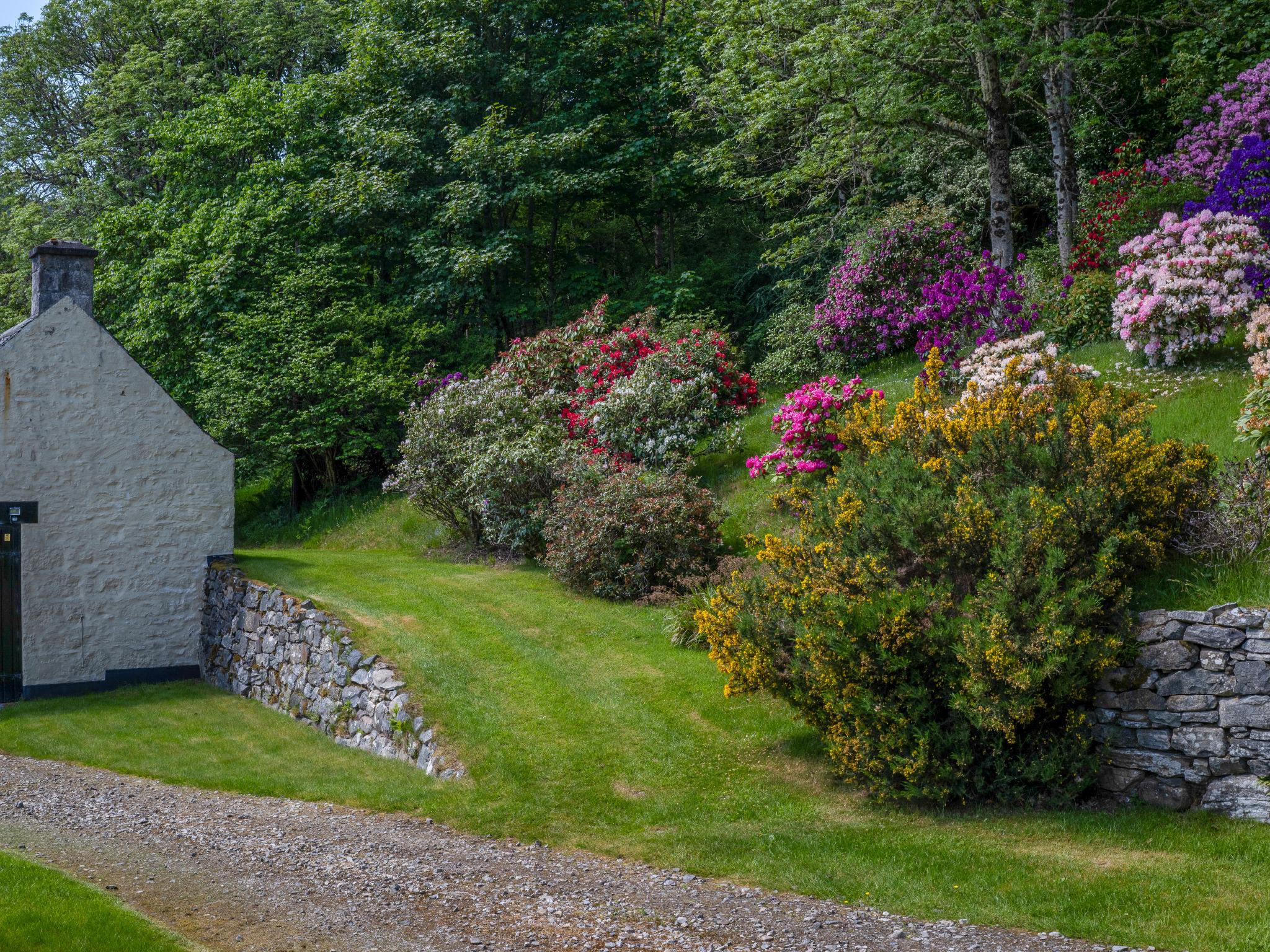 The Romantic Bothy - Dehors