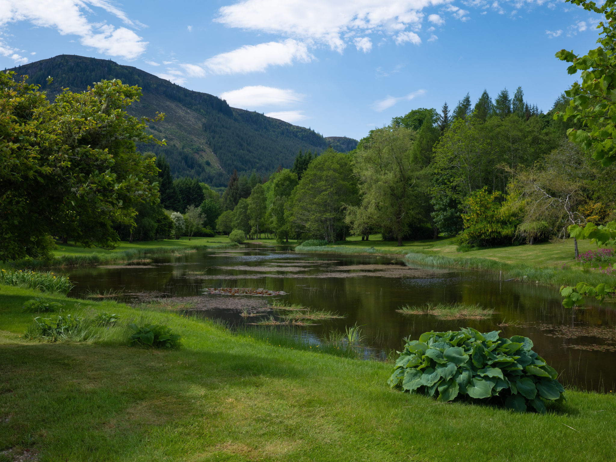 The Romantic Bothy - Dehors