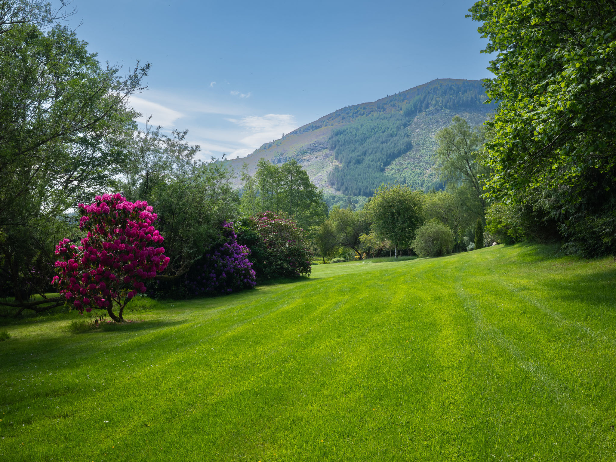 The Romantic Bothy - Dehors