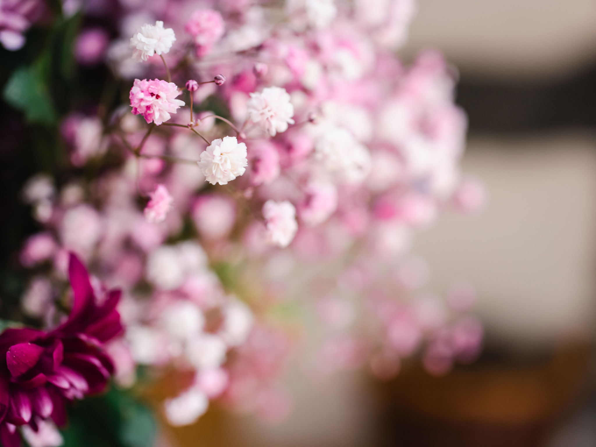 Corrimony View-Inside