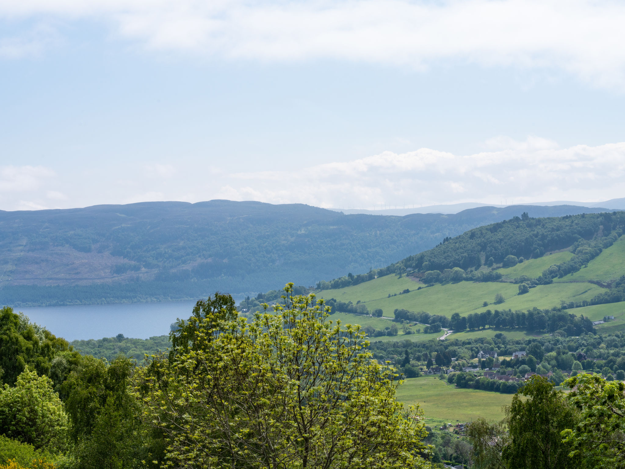 Photo of Achmony Green
