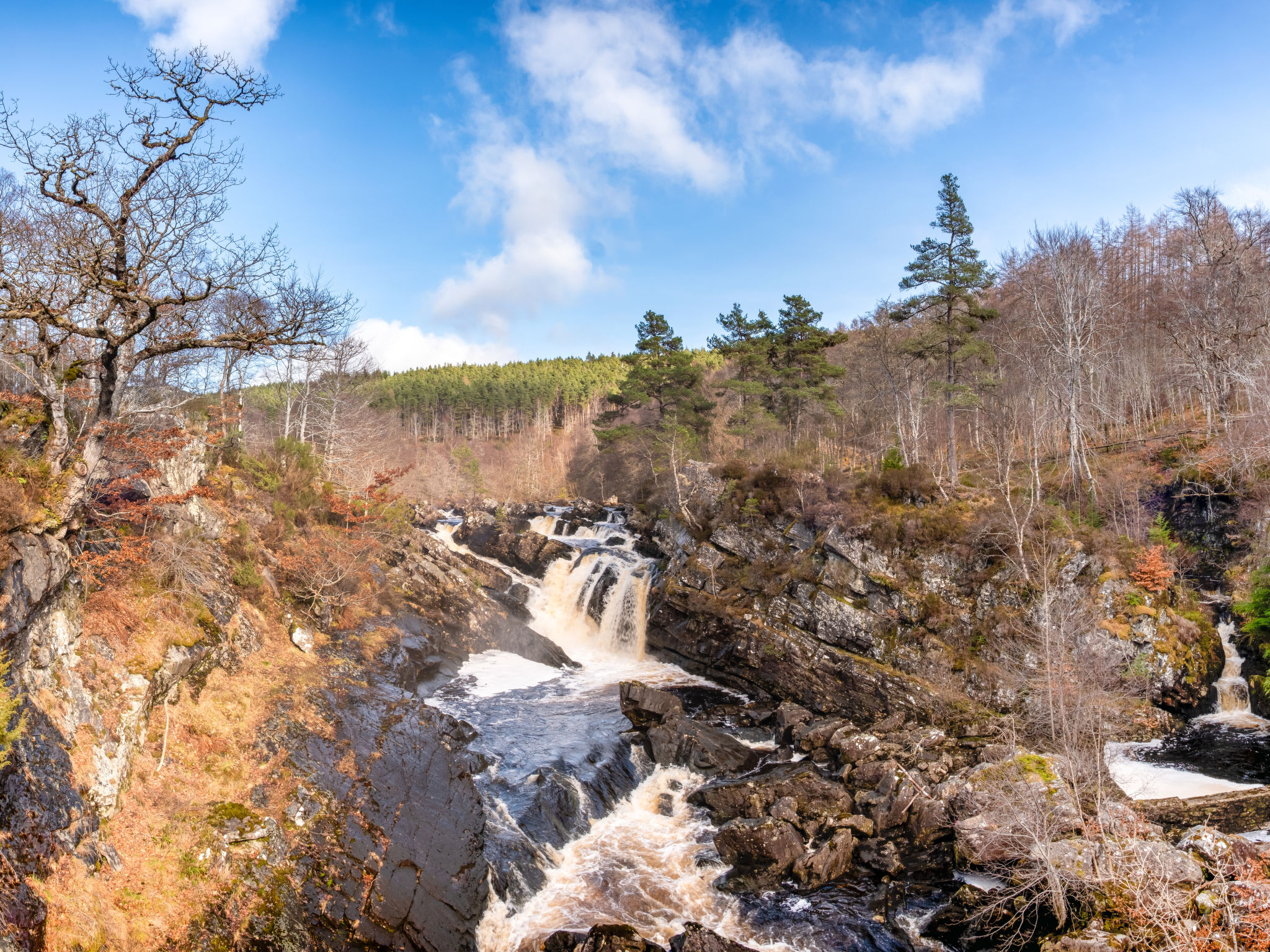 Springbank Lodge-Omgeving