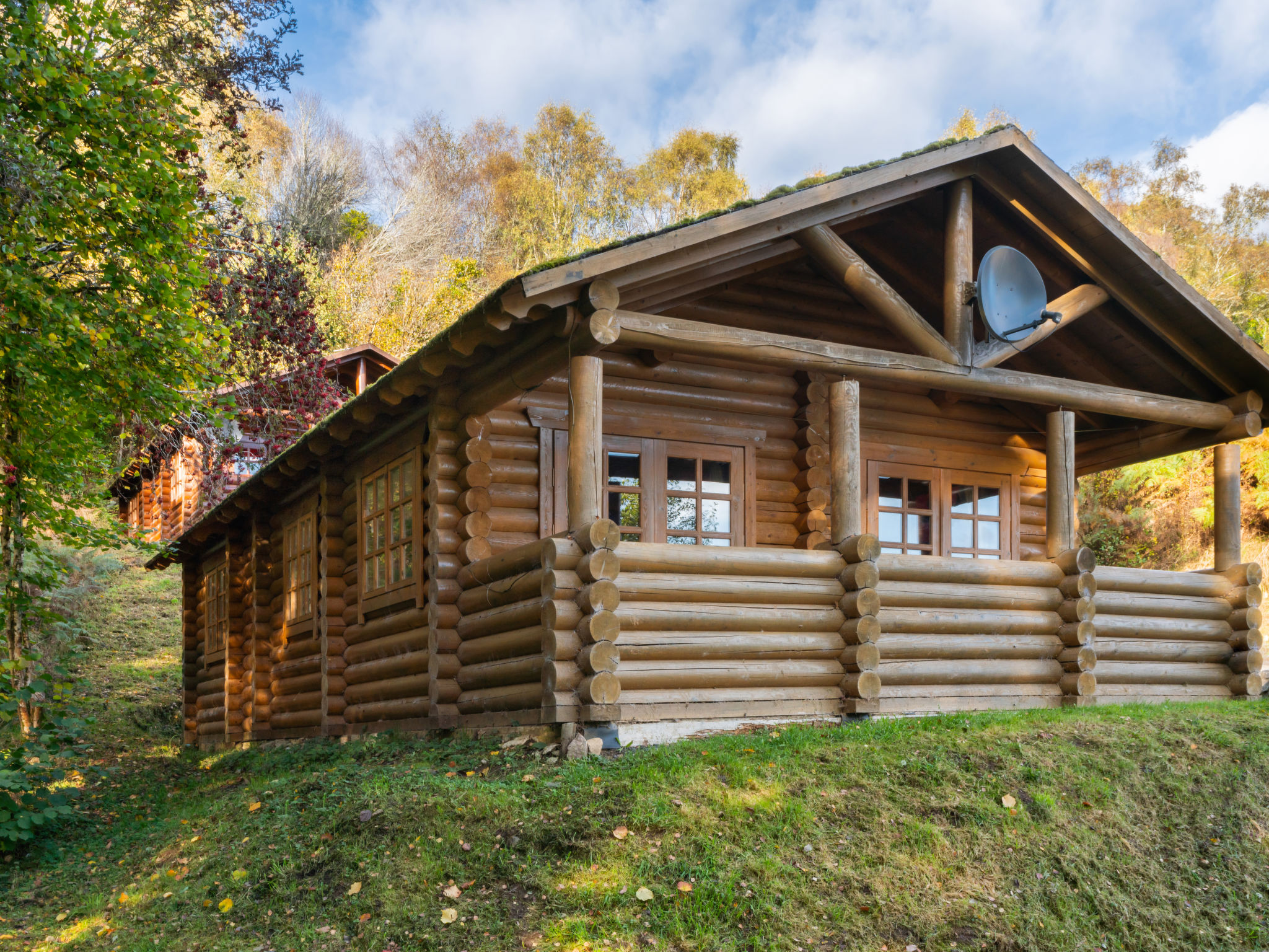 Bear Cabin-Buiten