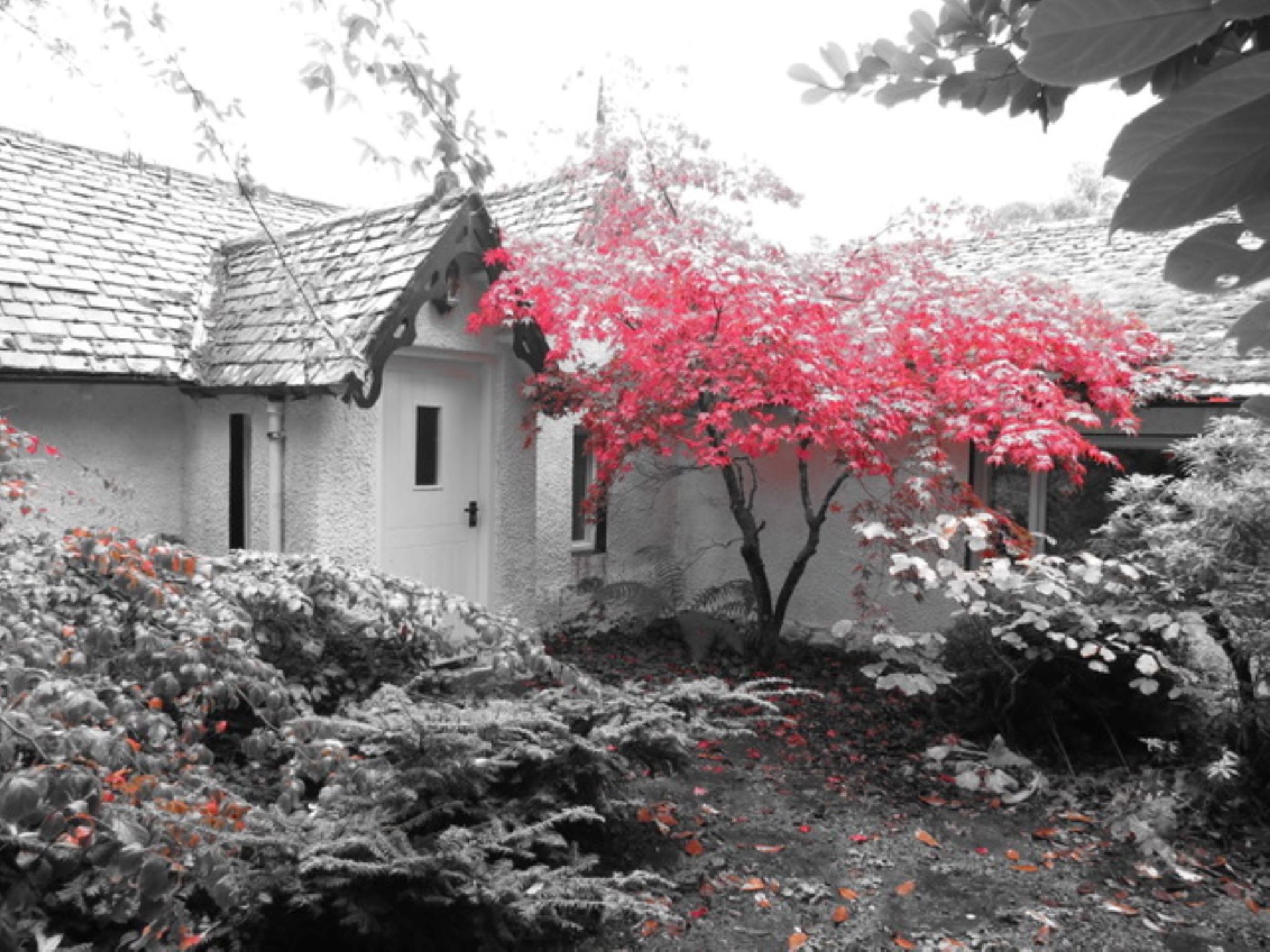 Photo of Dhivach Lodge
