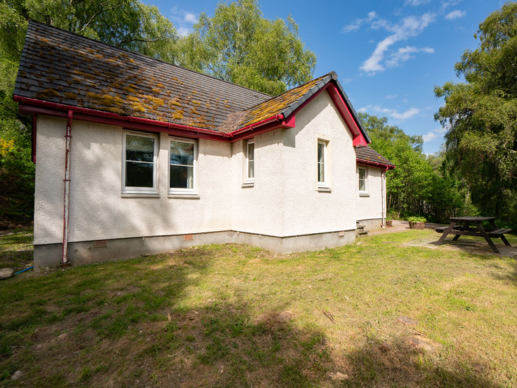 Red Deer Accommodation in Drumnadrochit